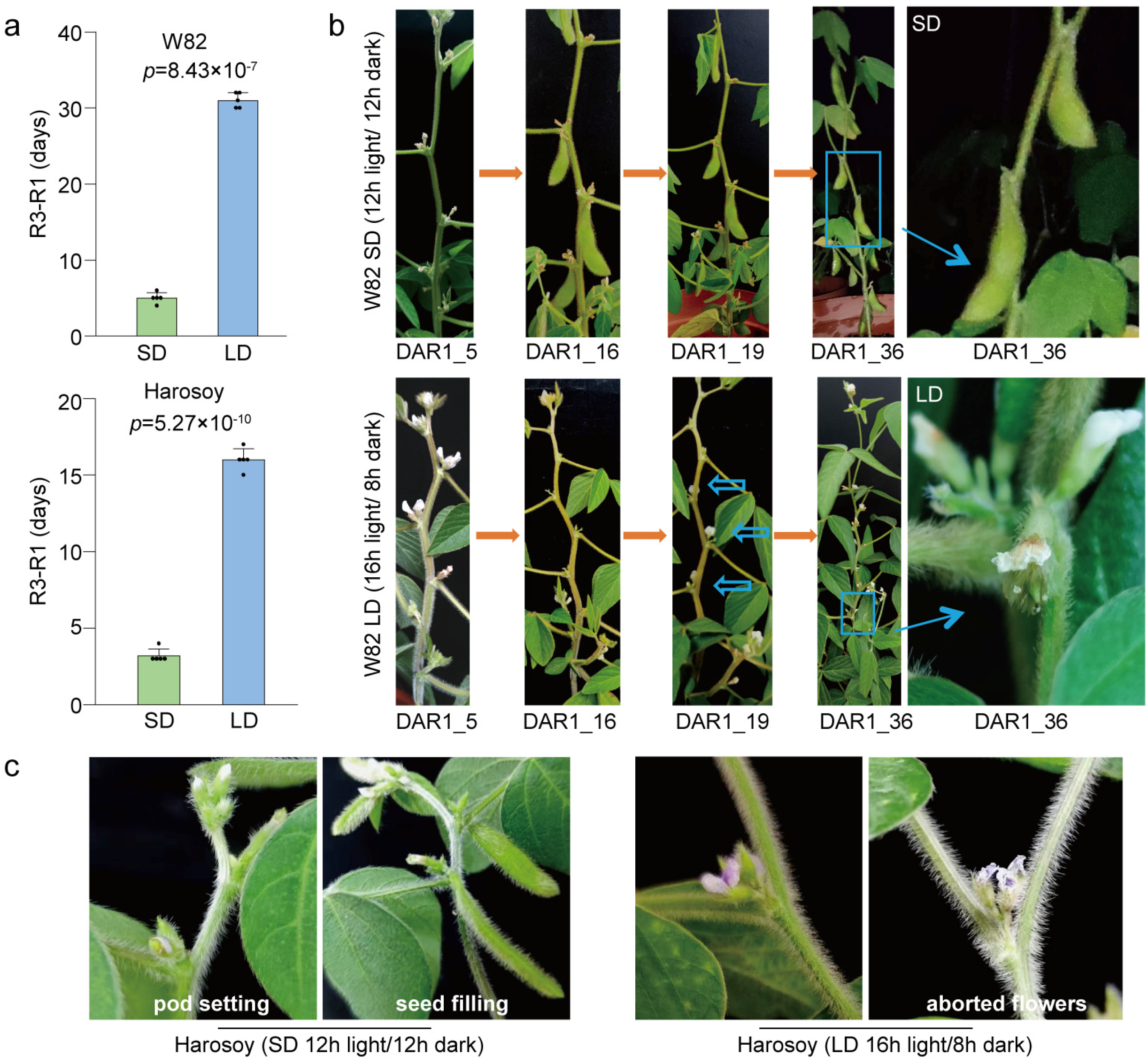 Biology 13 00868 g001