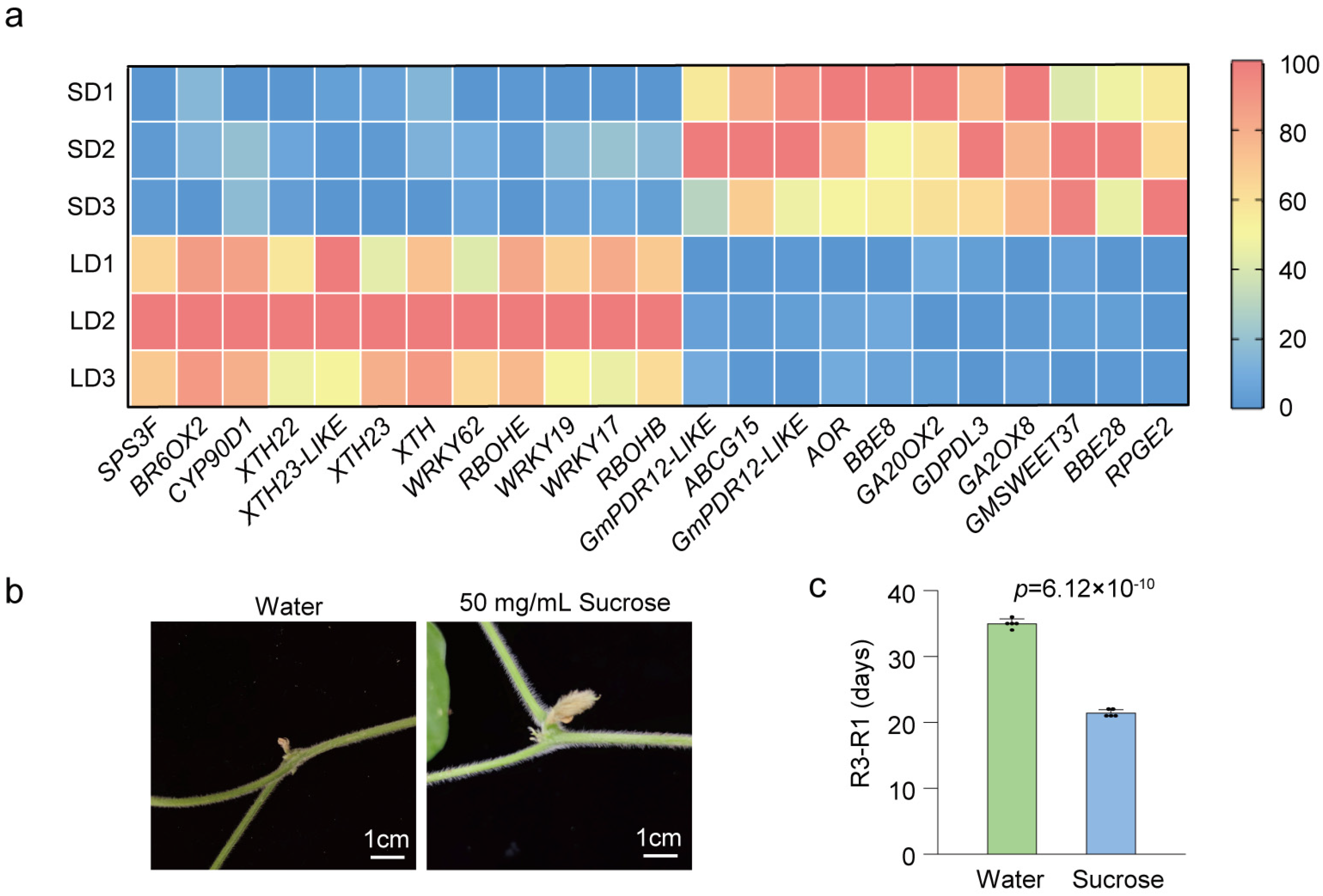 Biology 13 00868 g006