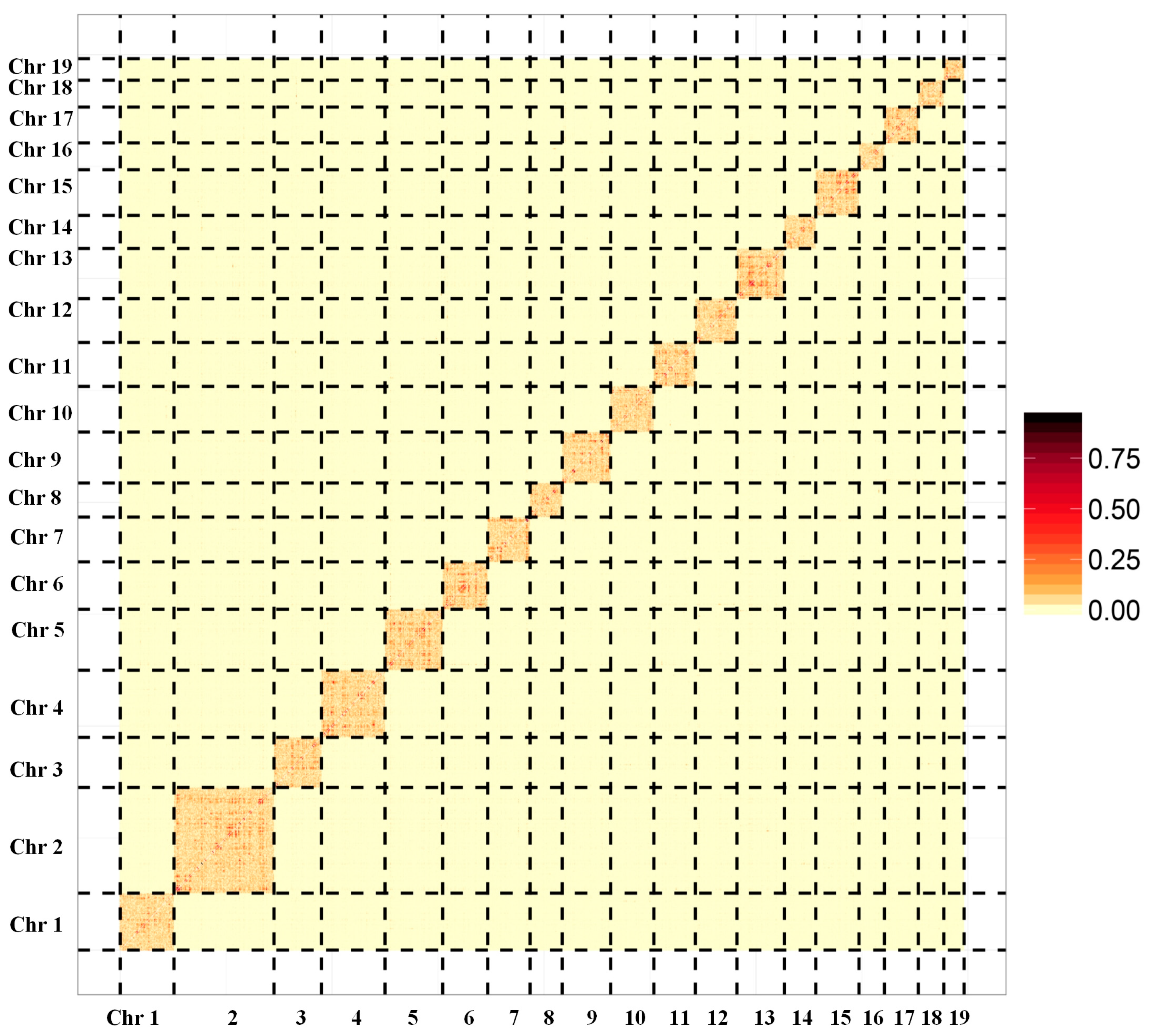 Biology 13 00870 g001