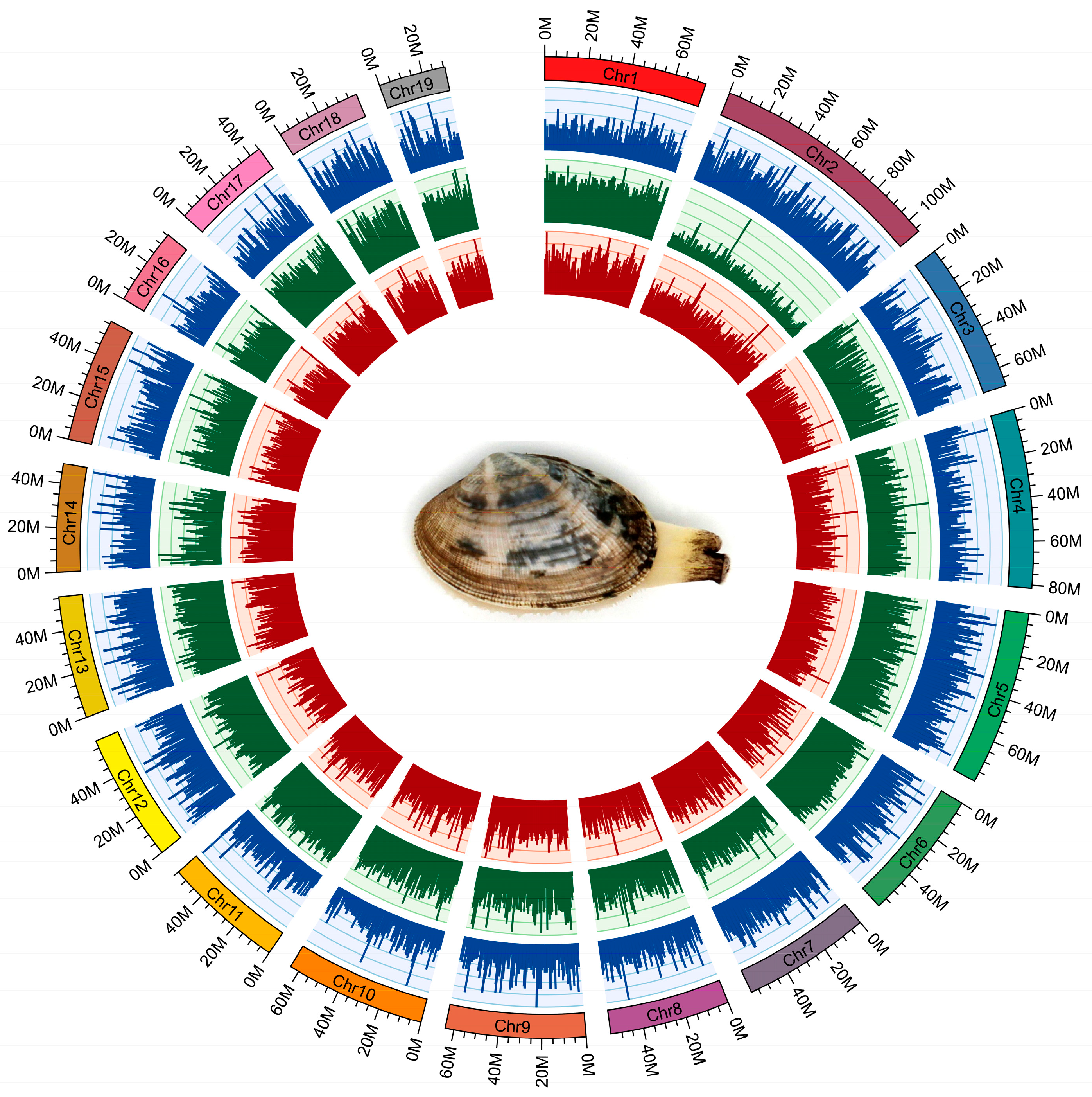 Biology 13 00870 g002