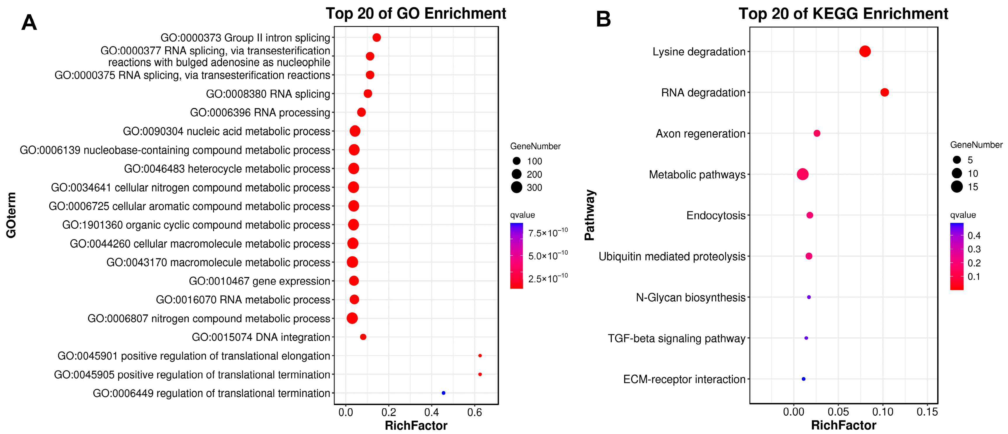 Biology 13 00870 g005
