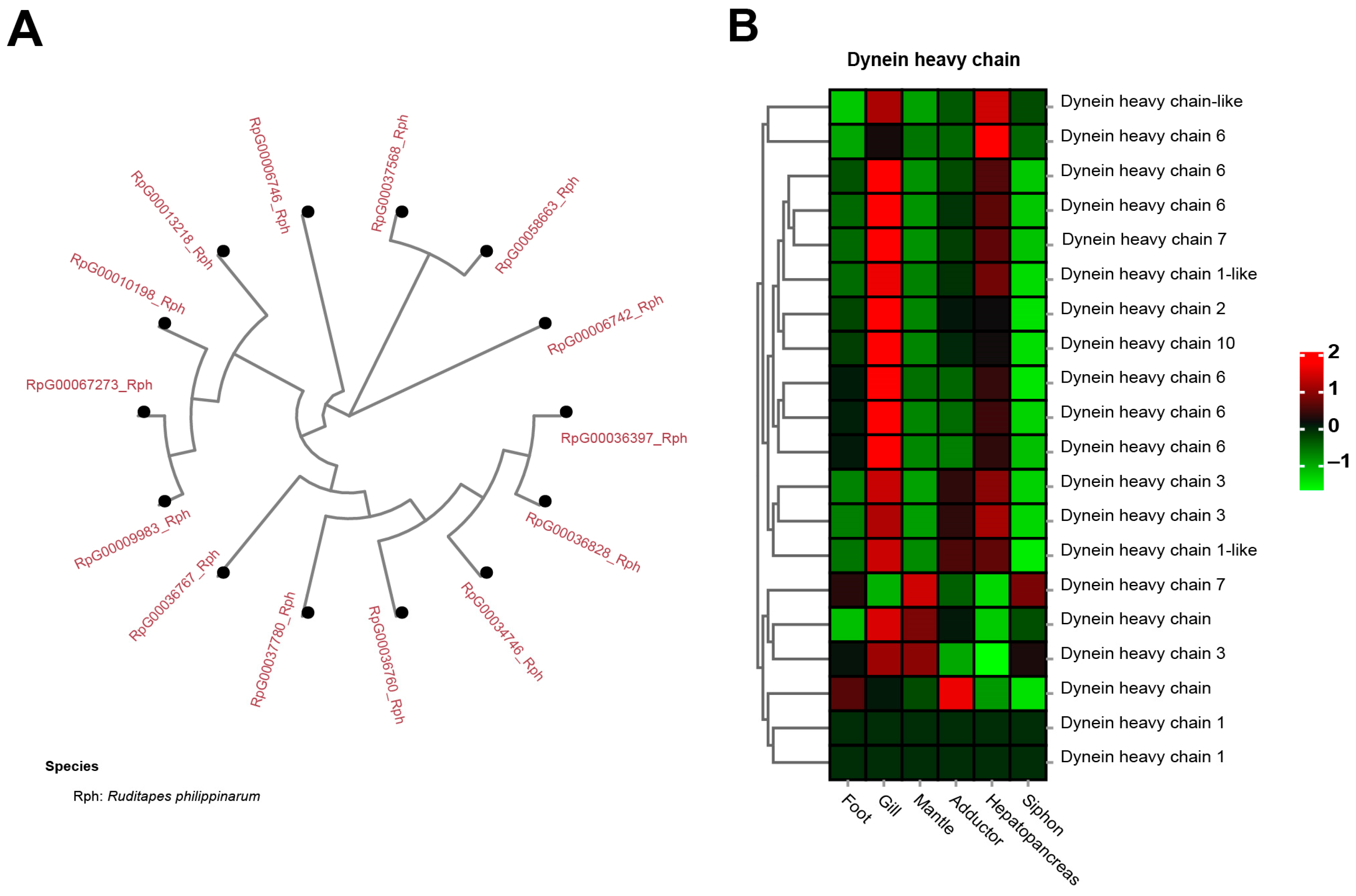 Biology 13 00870 g008