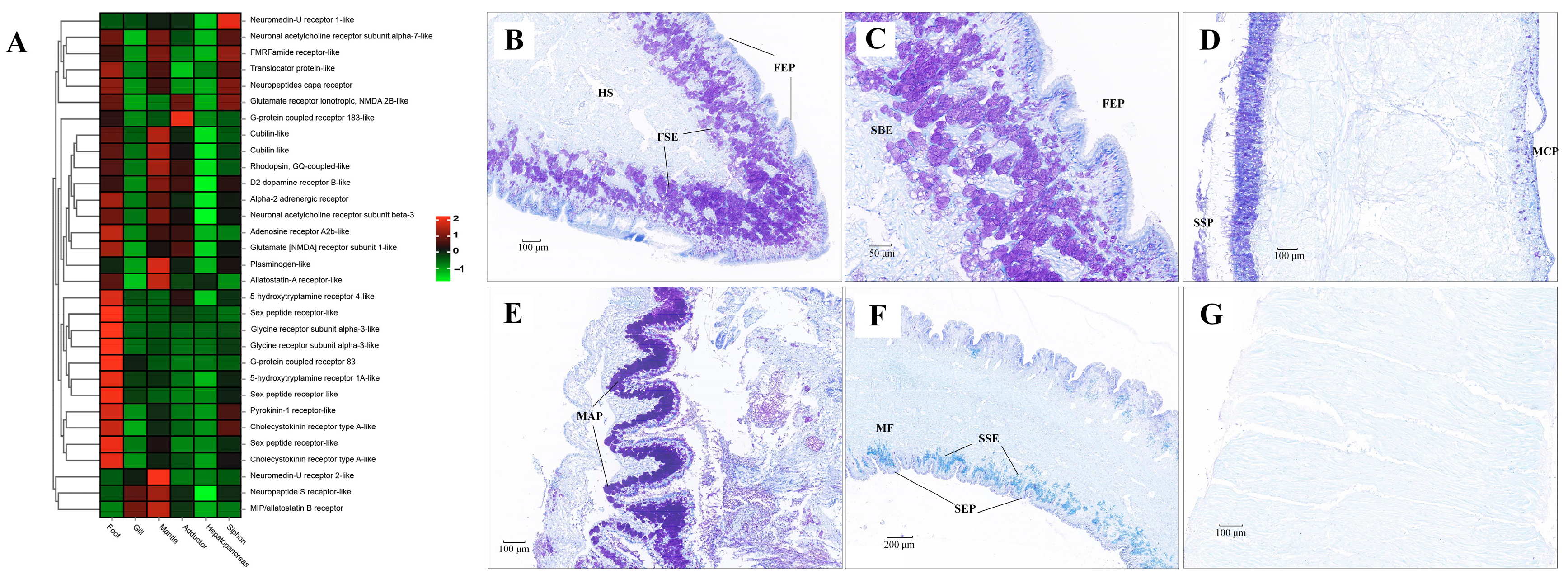 Biology 13 00870 g011
