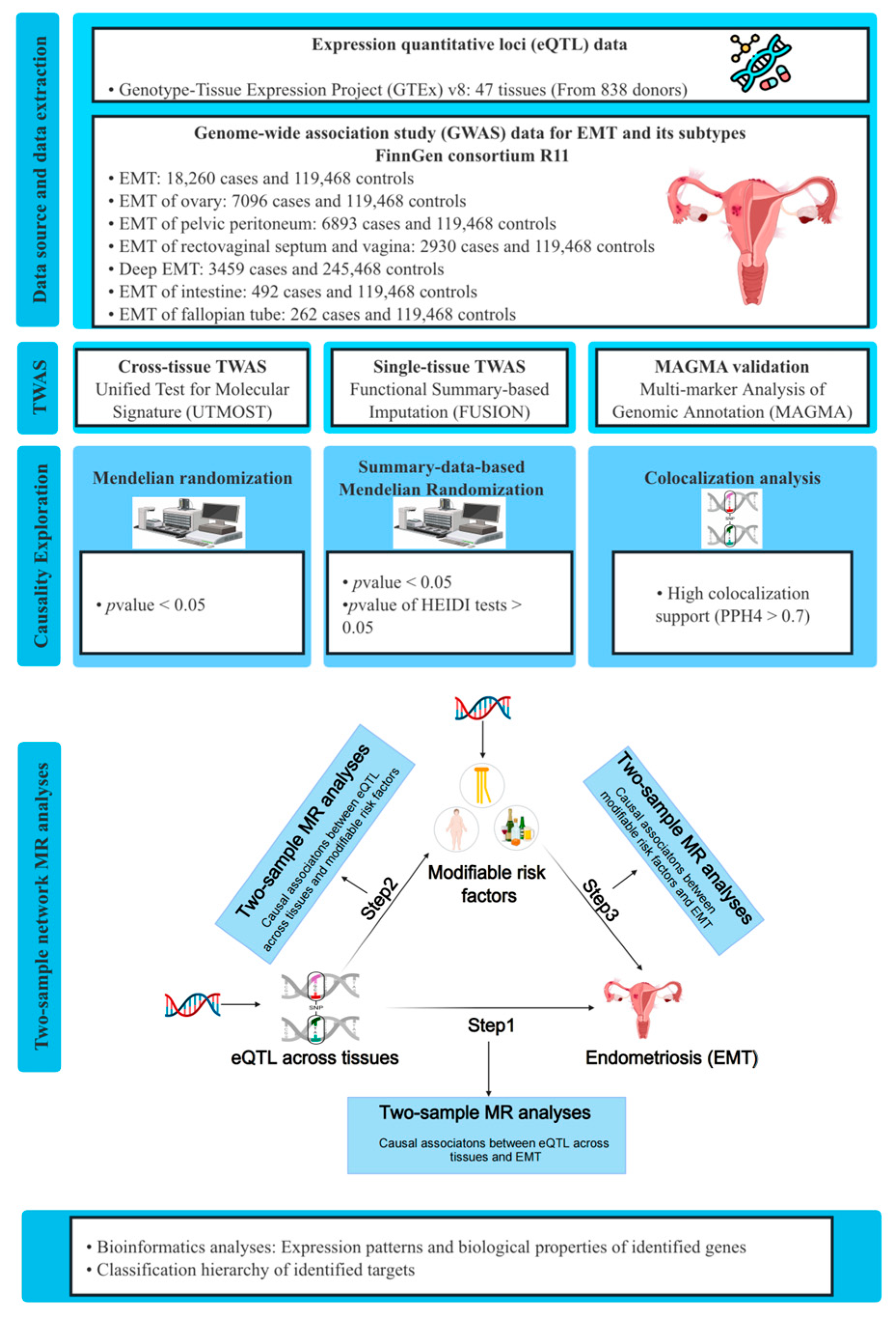Cross-Tissue Regulatory Network Analyses Reveal Novel