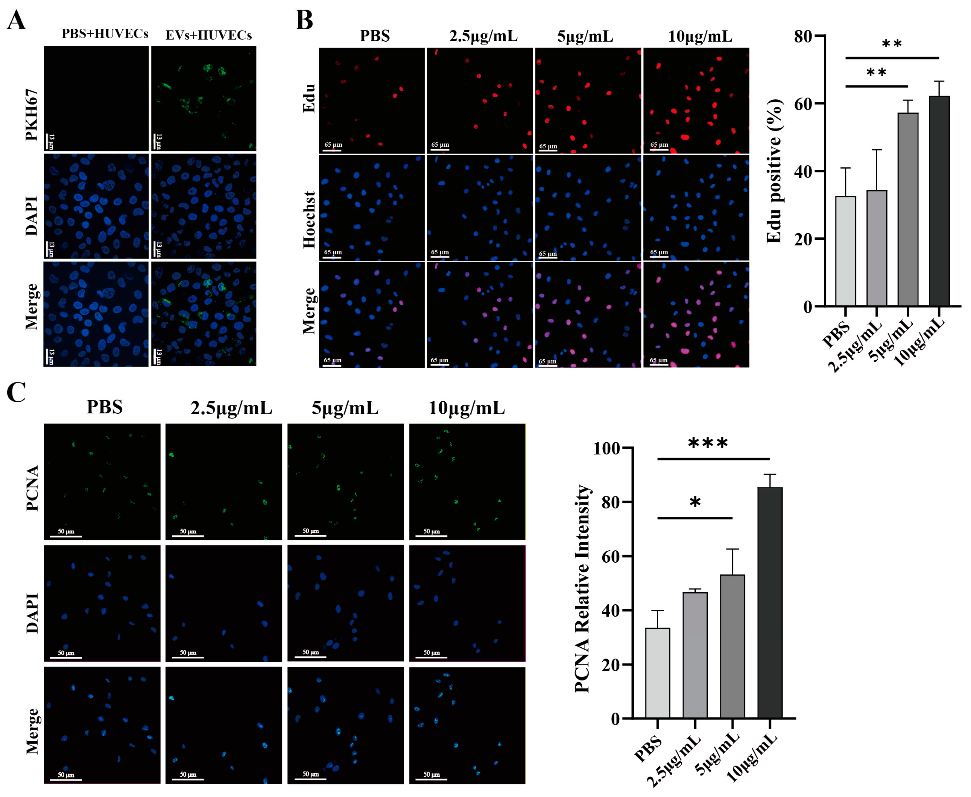 Biology 13 00873 g003a