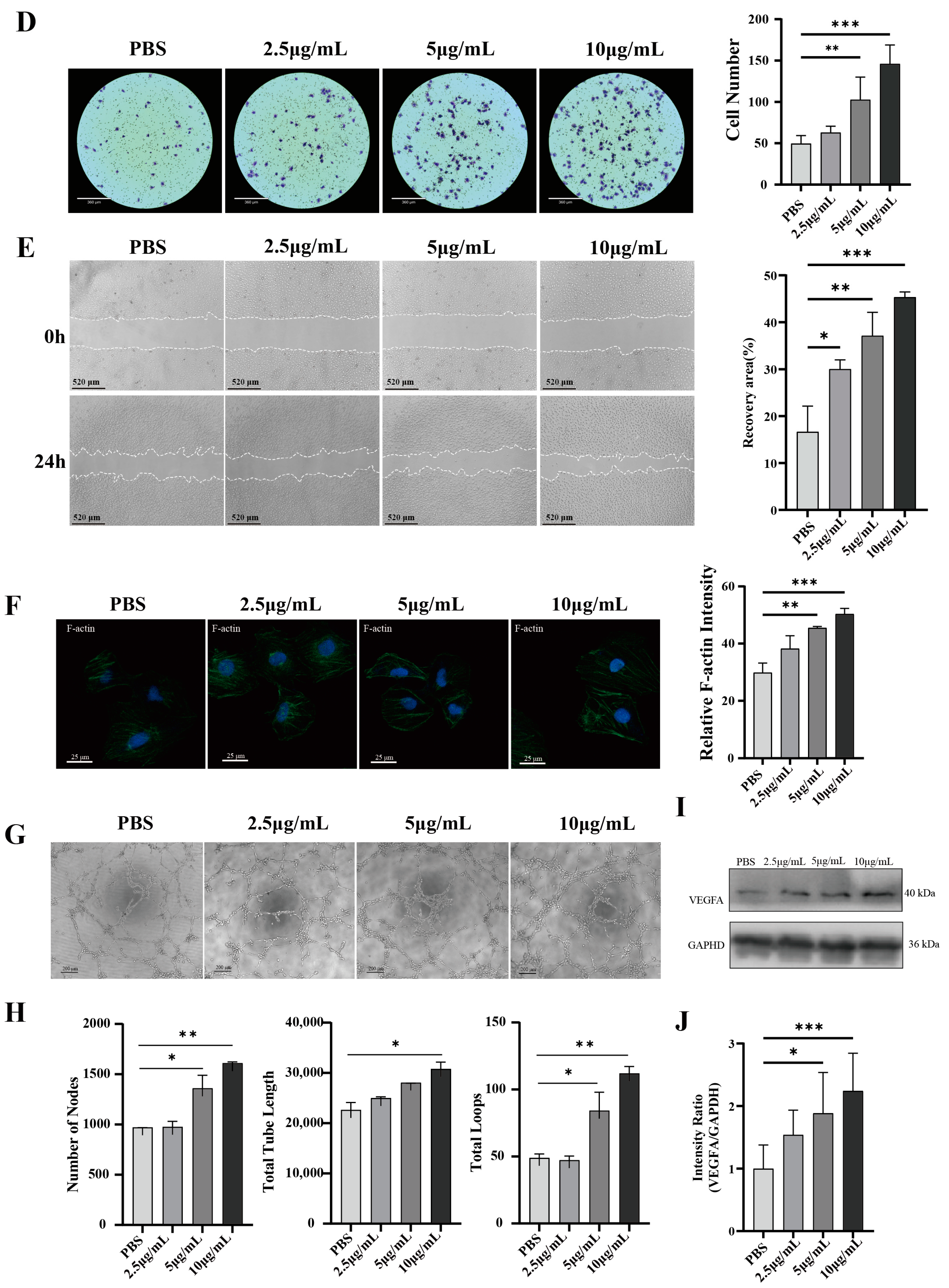 Biology 13 00873 g003b