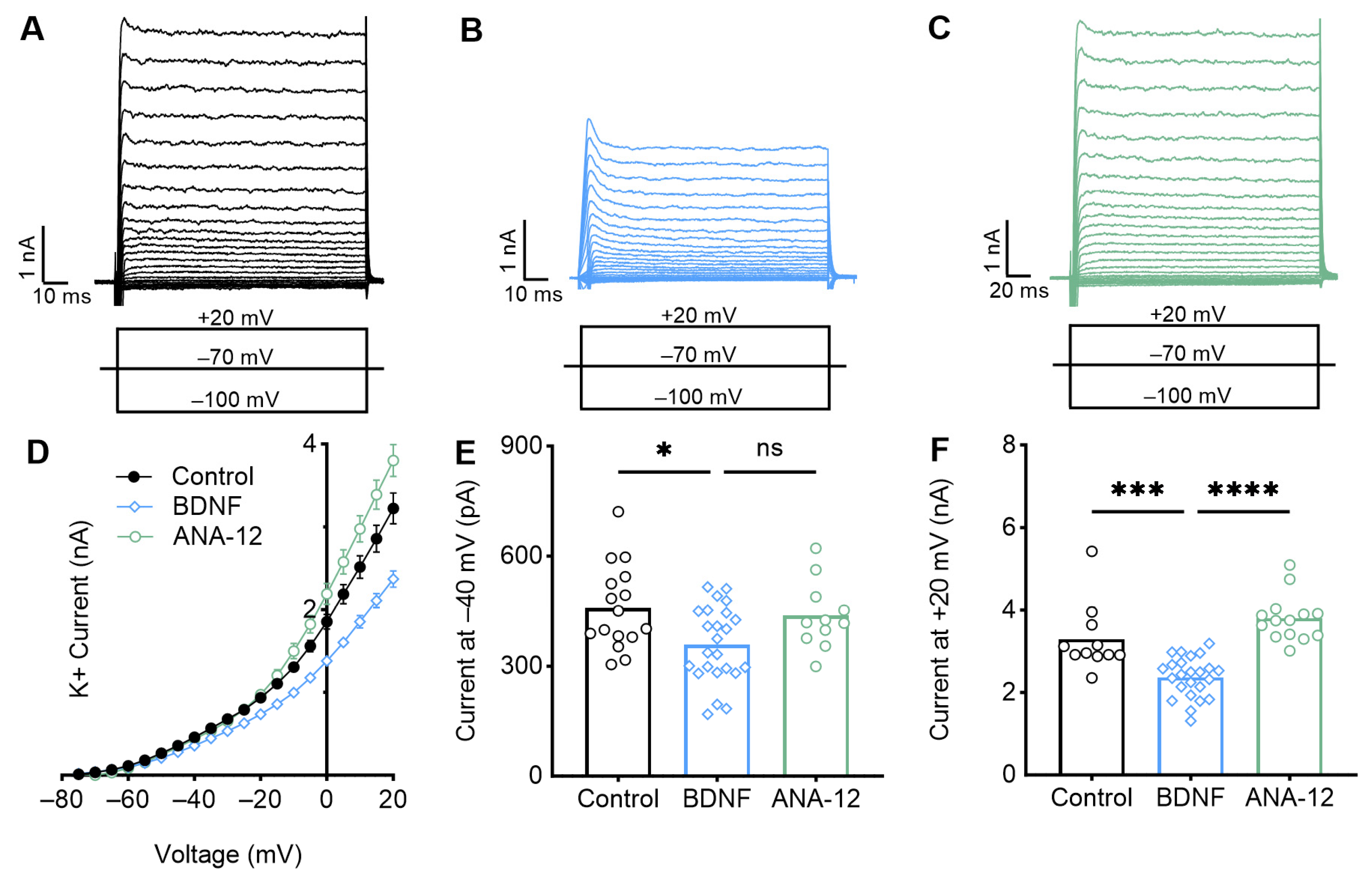 Biology 13 00877 g004