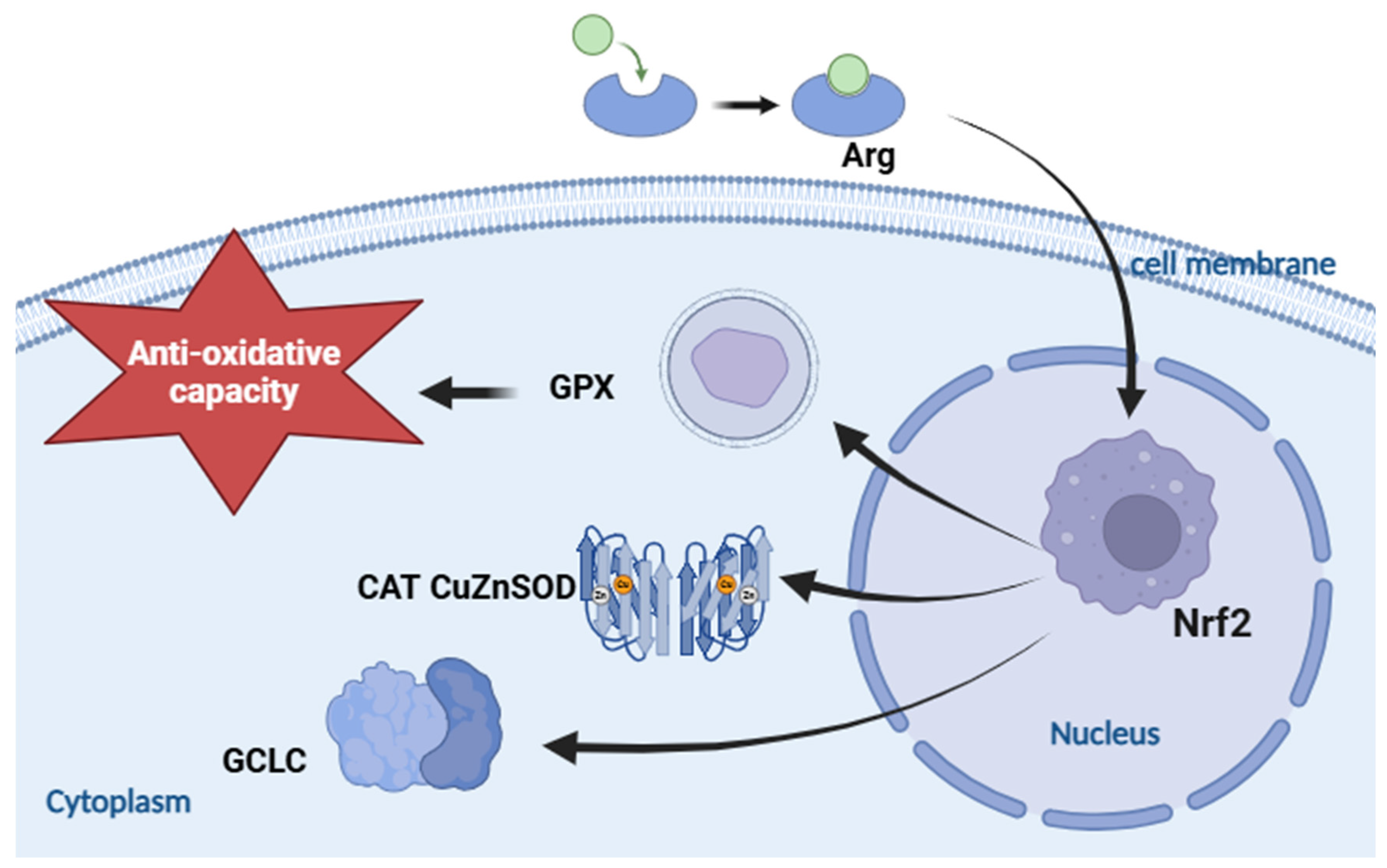 Biology 13 00881 g005