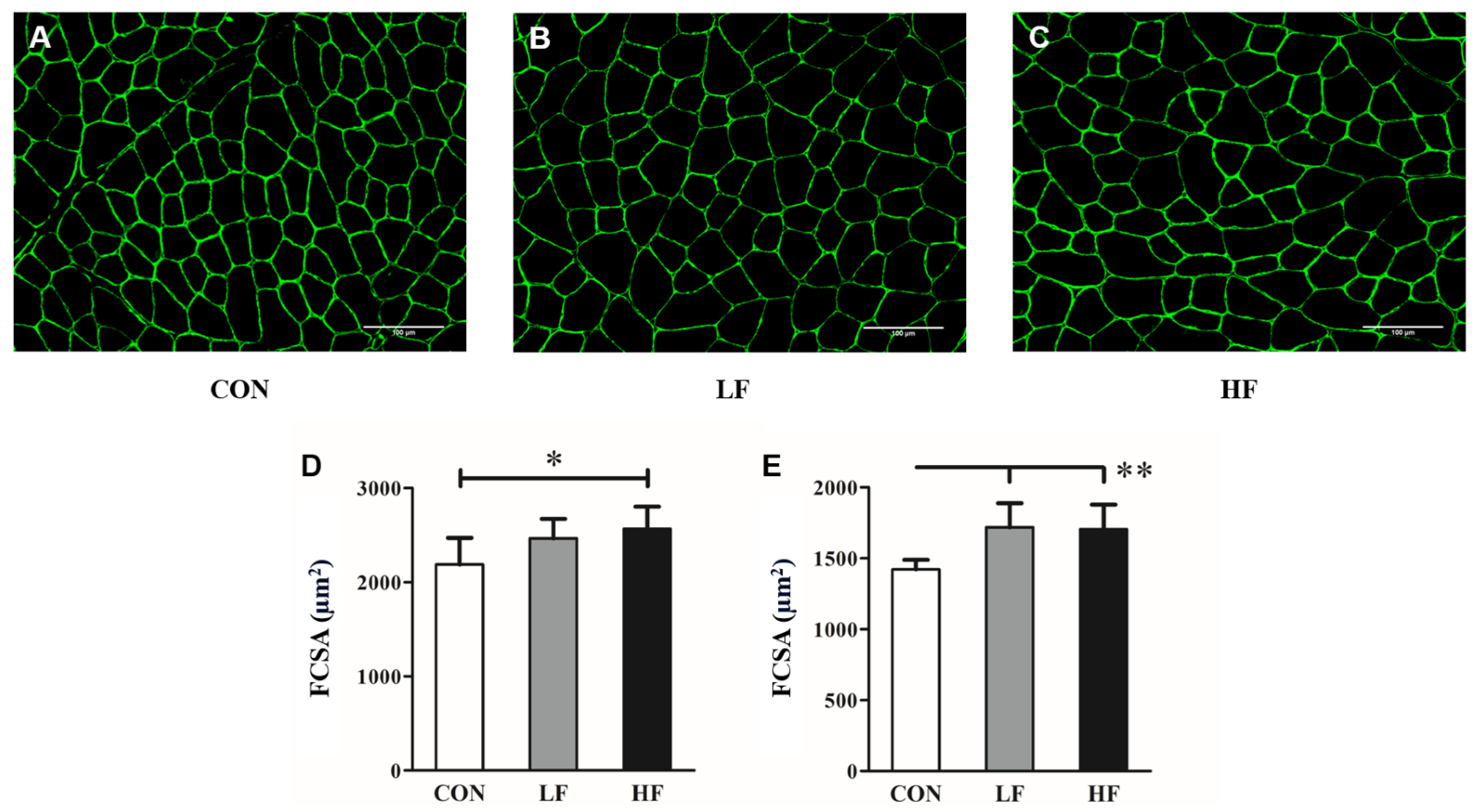 Biology 13 00882 g003