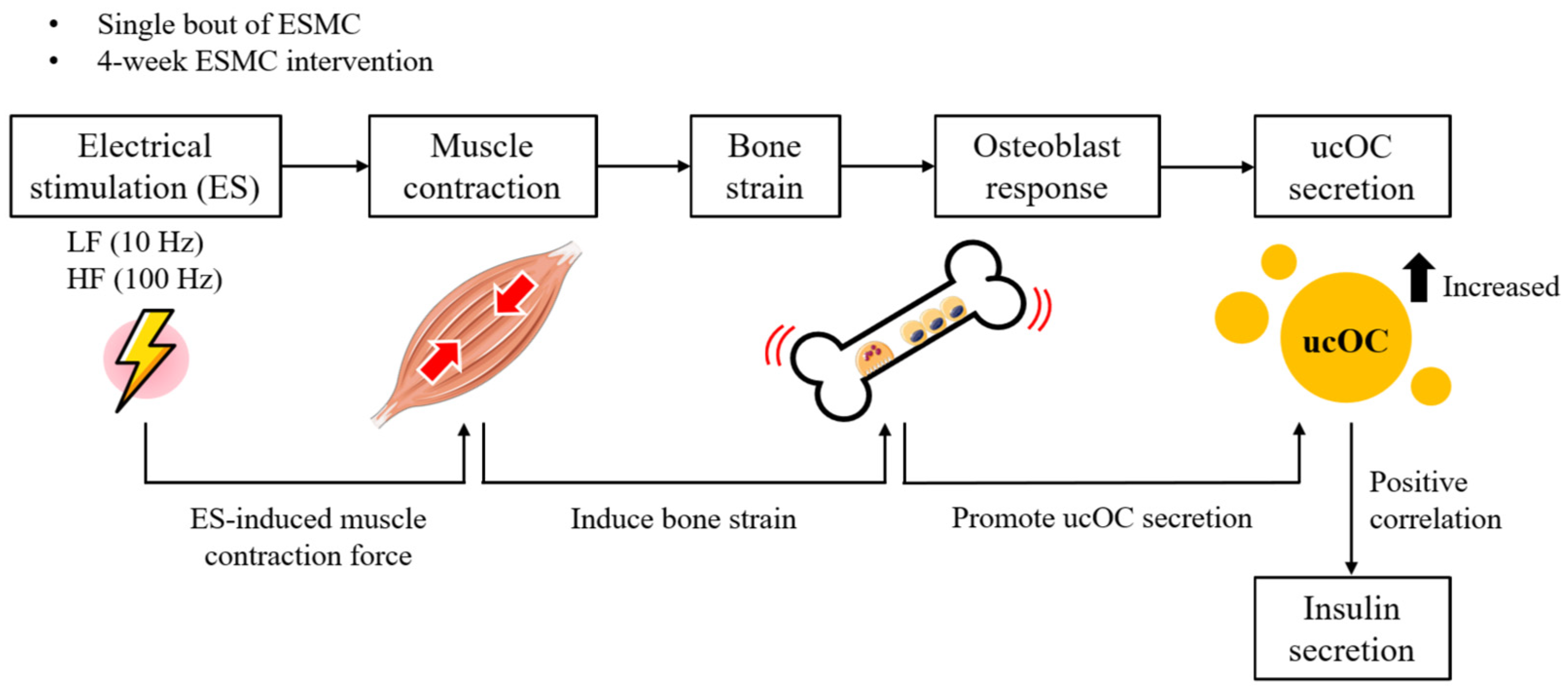 Biology 13 00882 g004