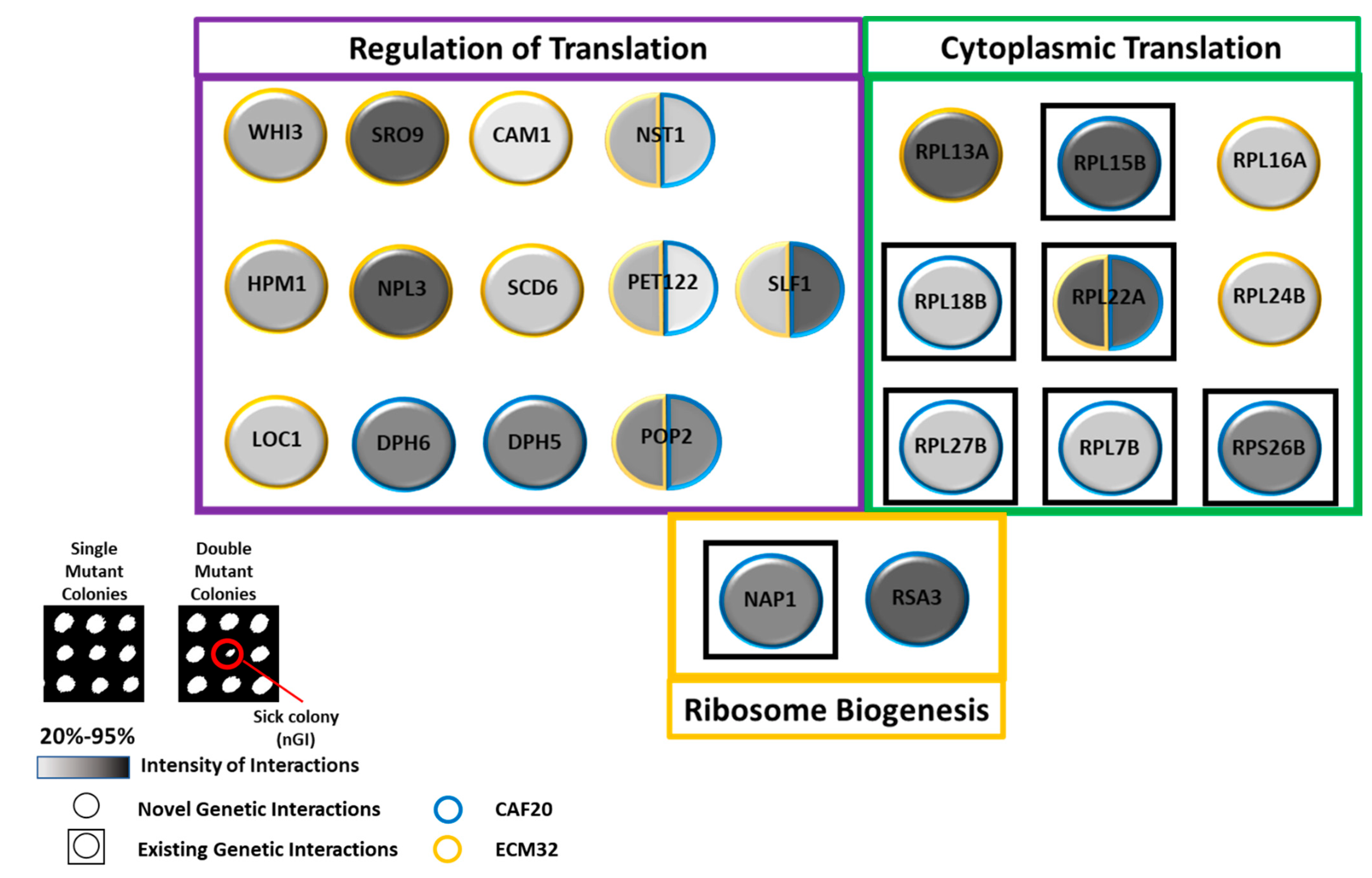 Biology 13 00884 g008