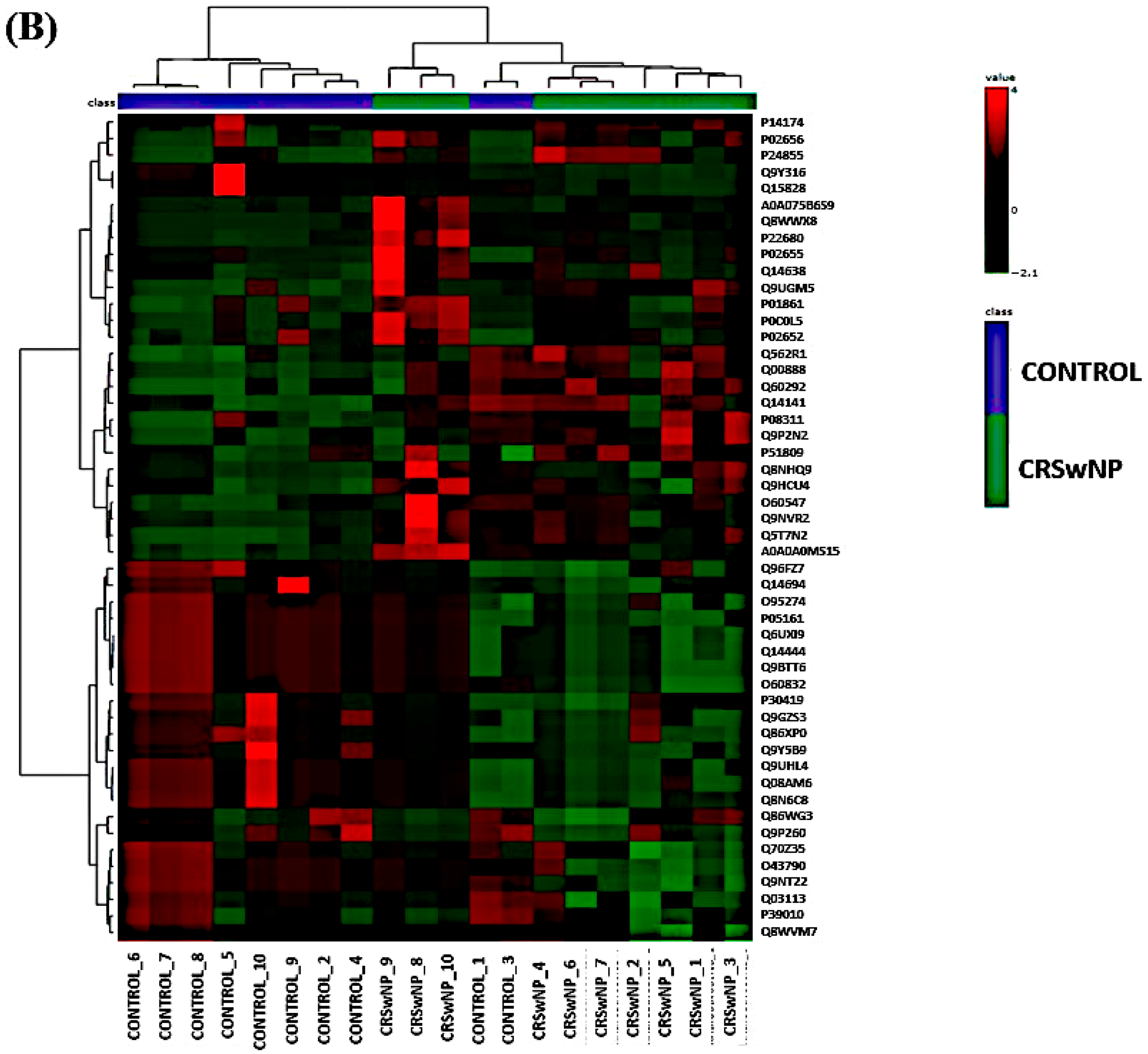 Biology 13 00887 g002b Biology 13 00887 g002b