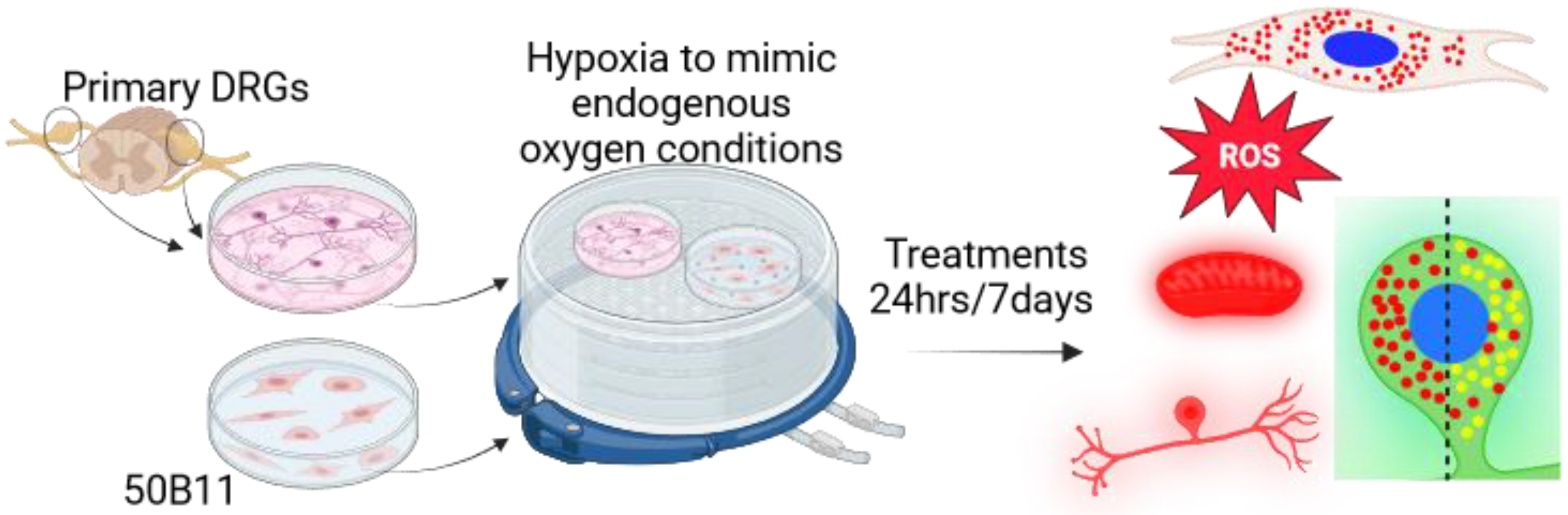Biology 13 00893 g001