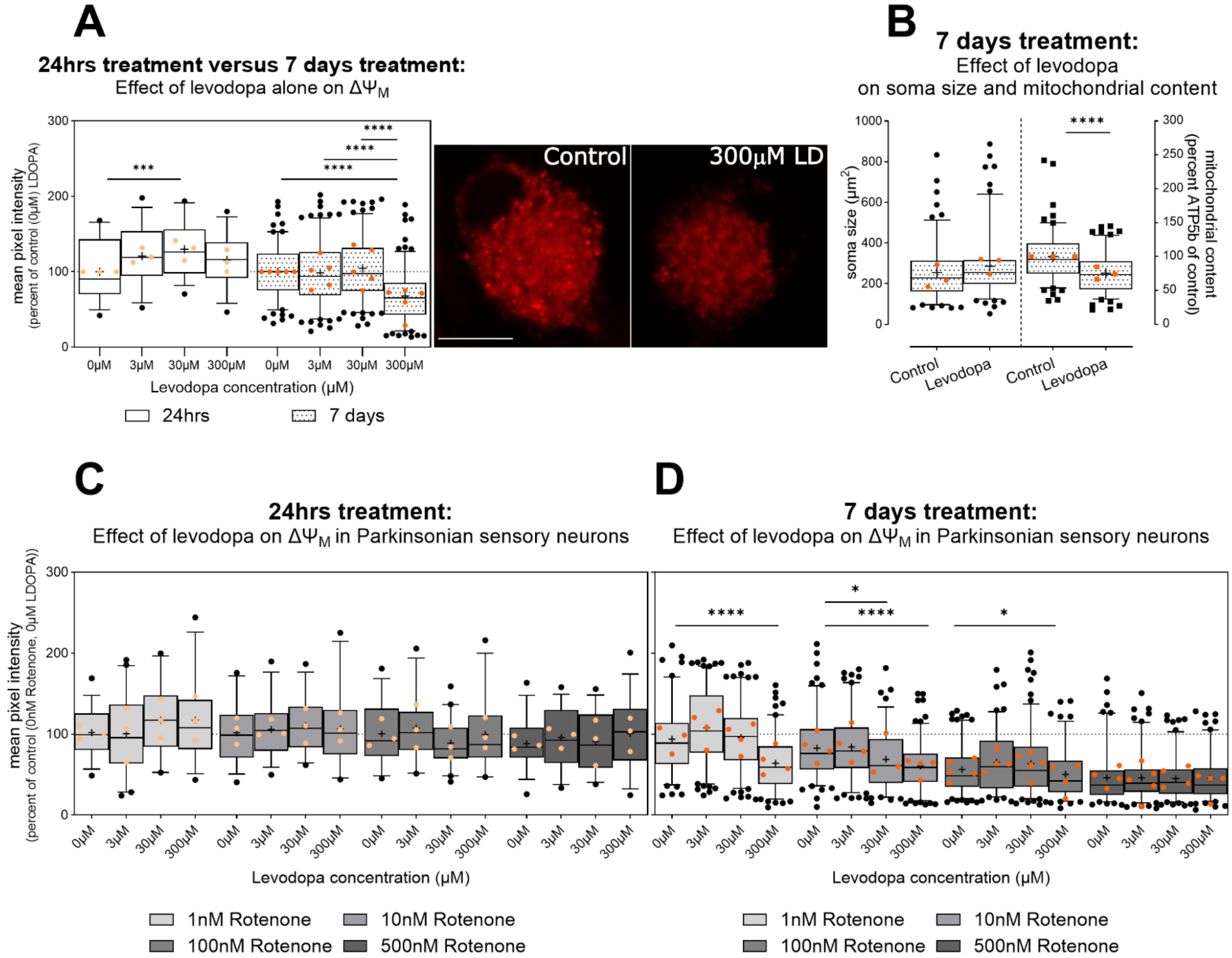 Biology 13 00893 g003