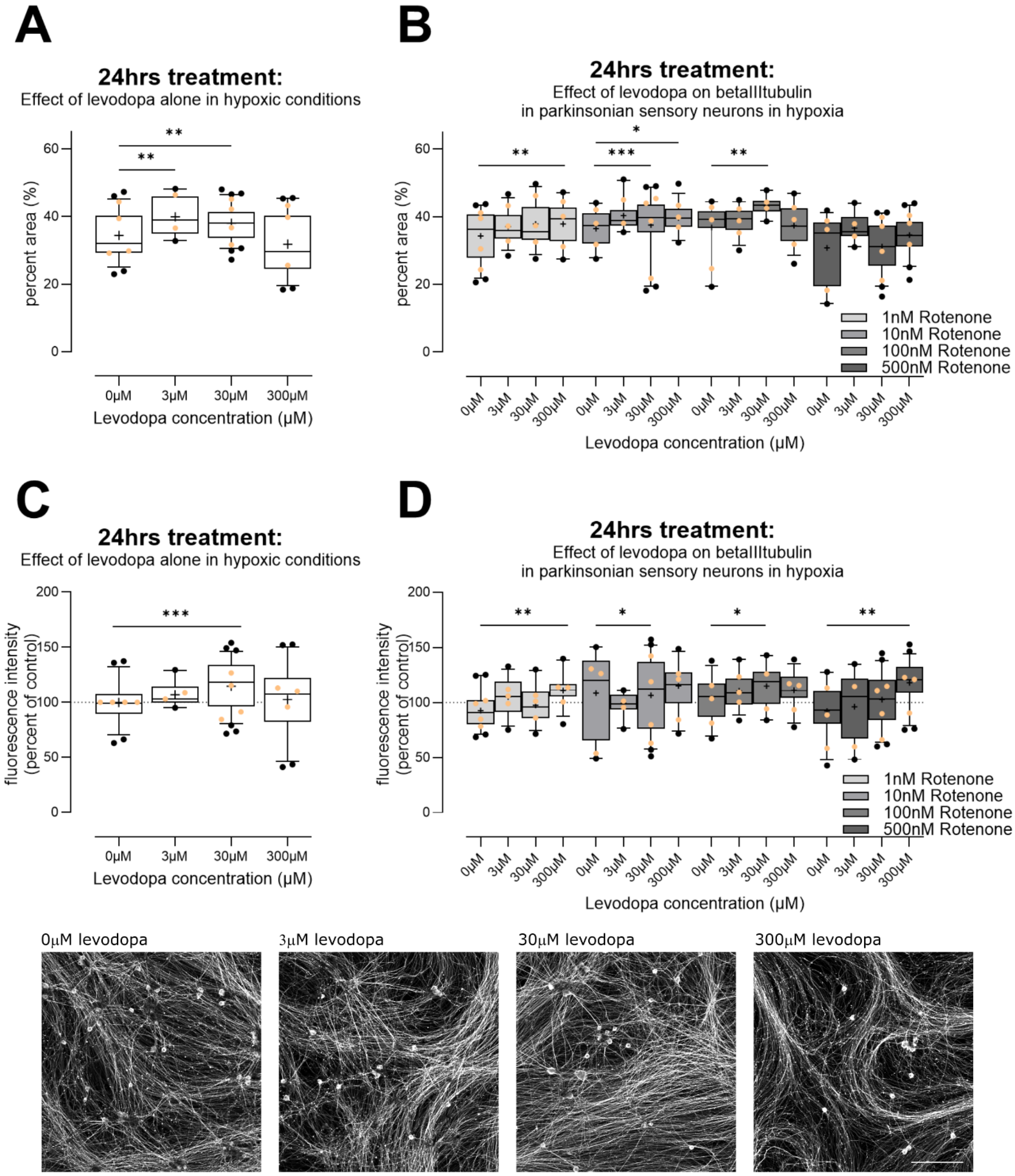 Biology 13 00893 g005
