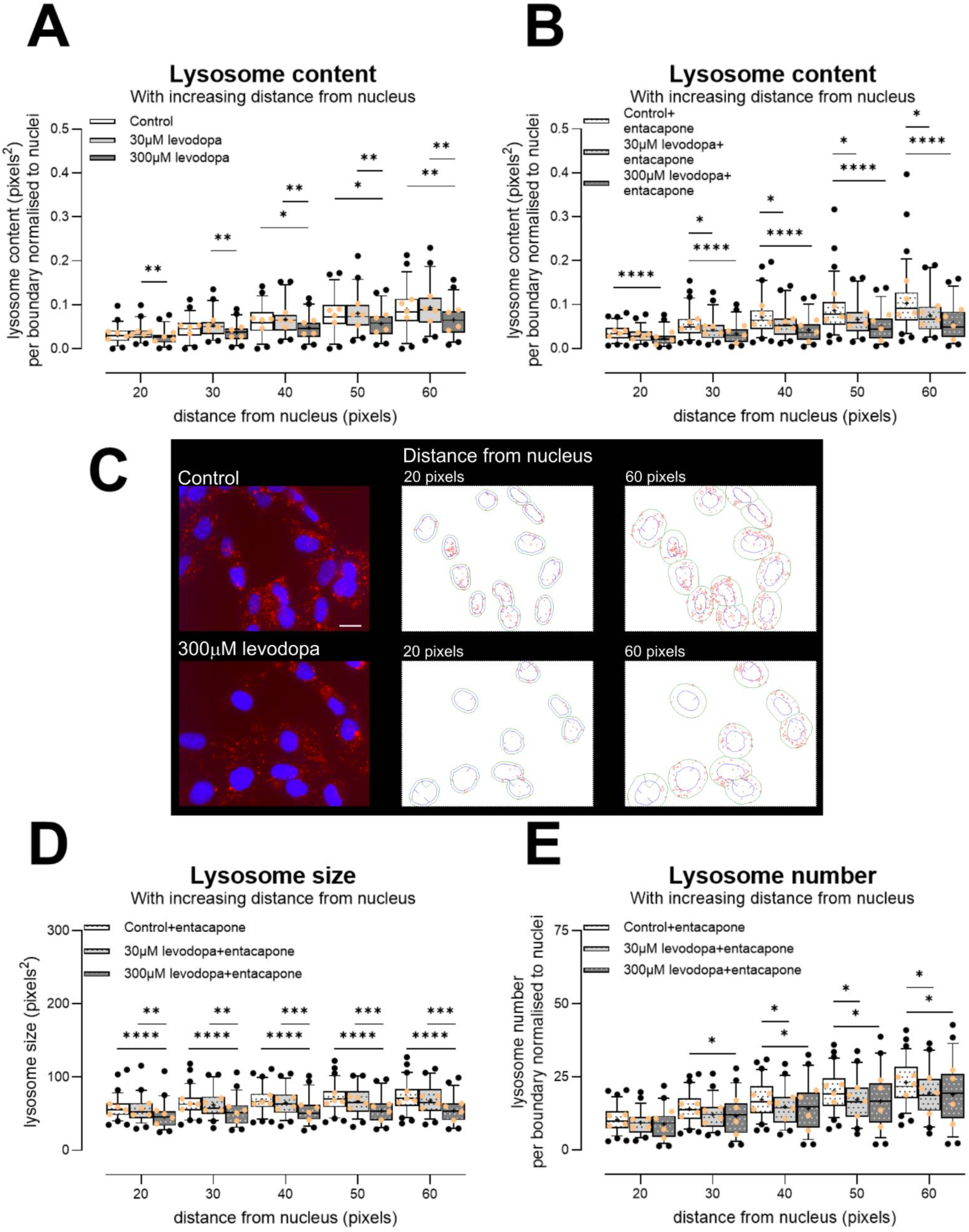 Biology 13 00893 g007