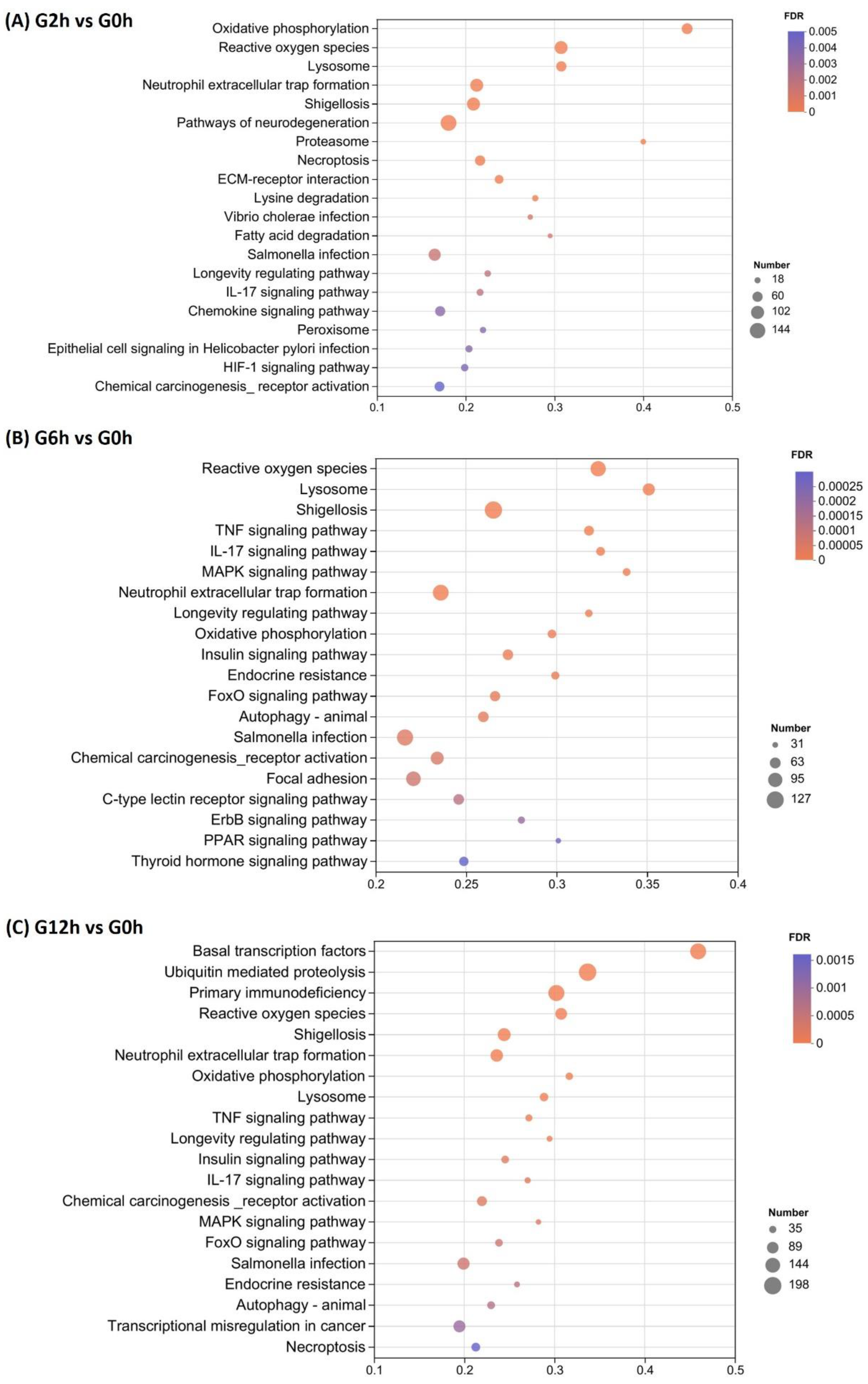 Biology 13 00894 g004