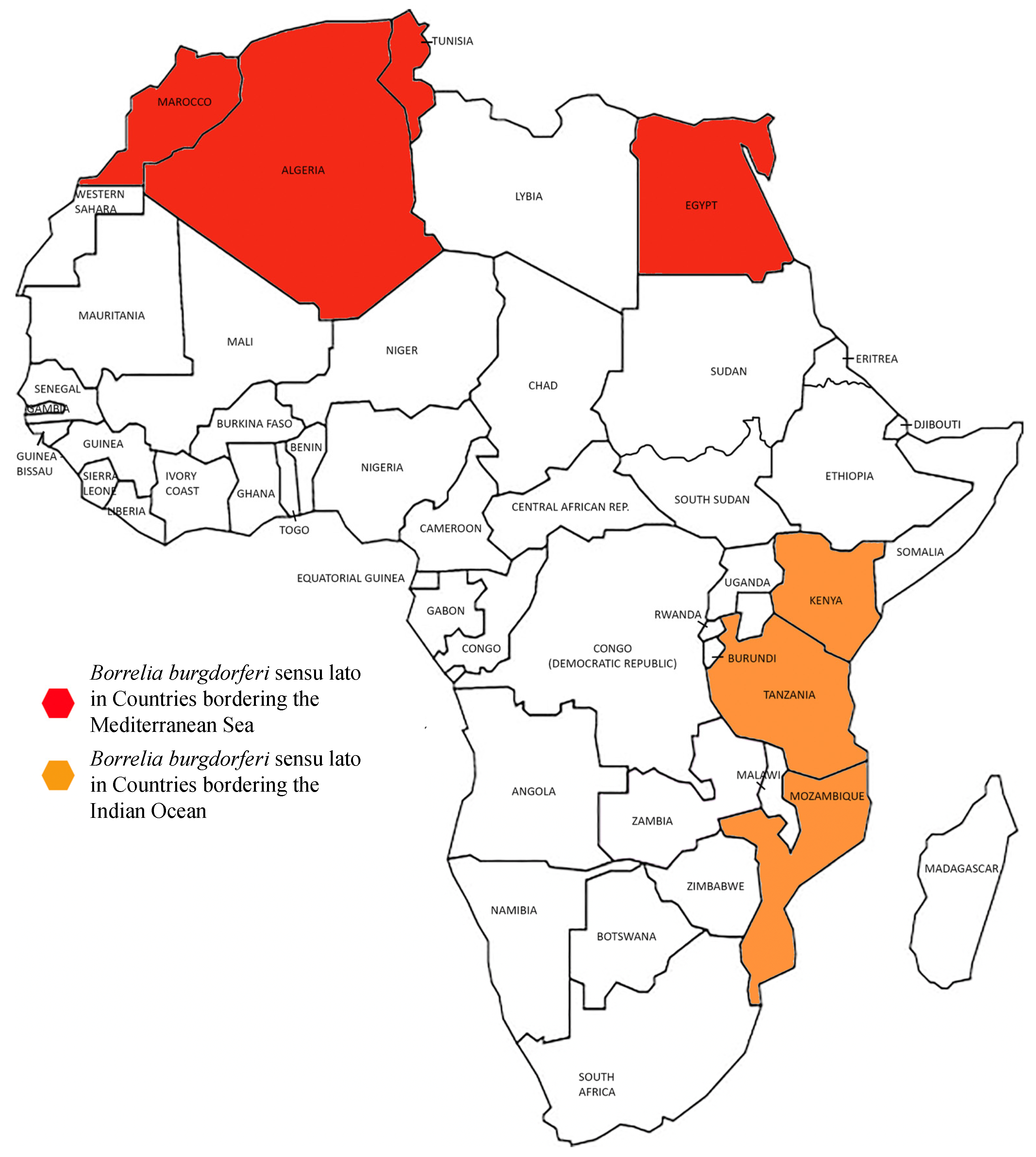 Biology 13 00897 g001