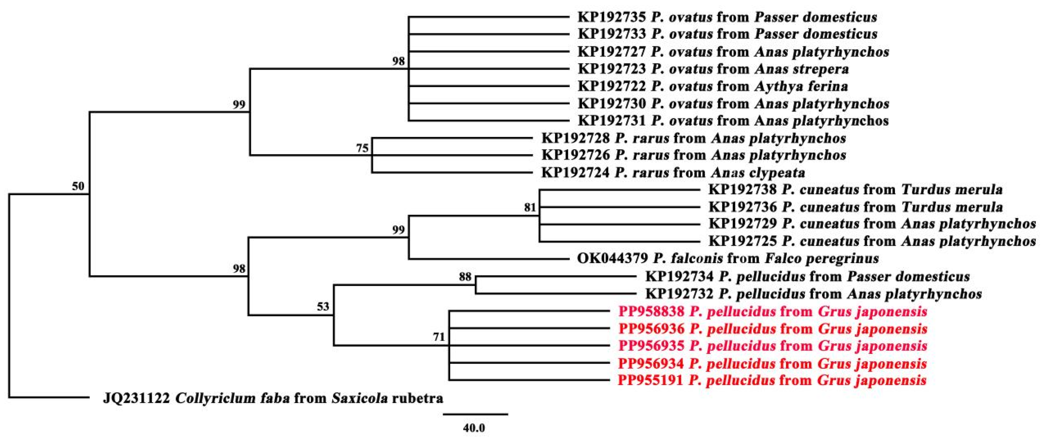 Biology 13 00900 g003 Biology 13 00900 g003