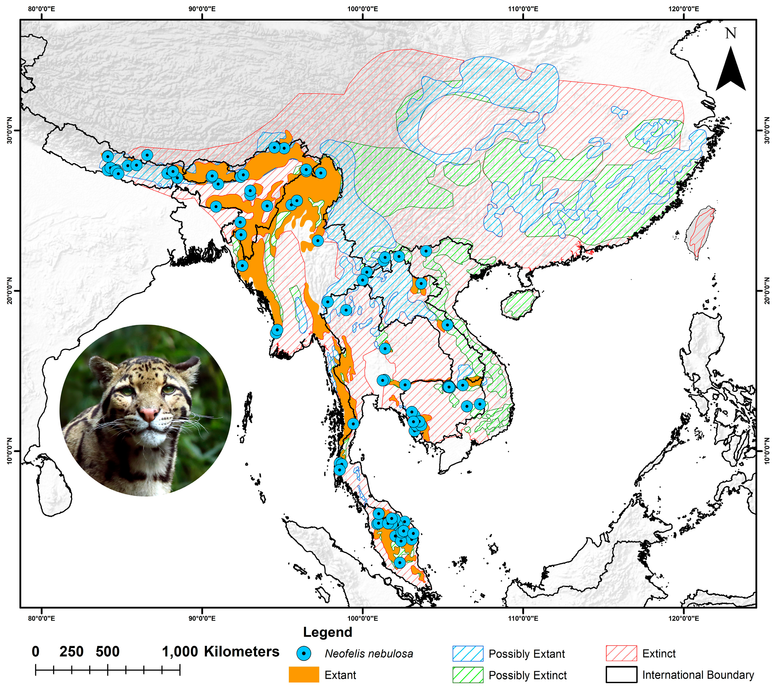 Biology 13 00902 g001