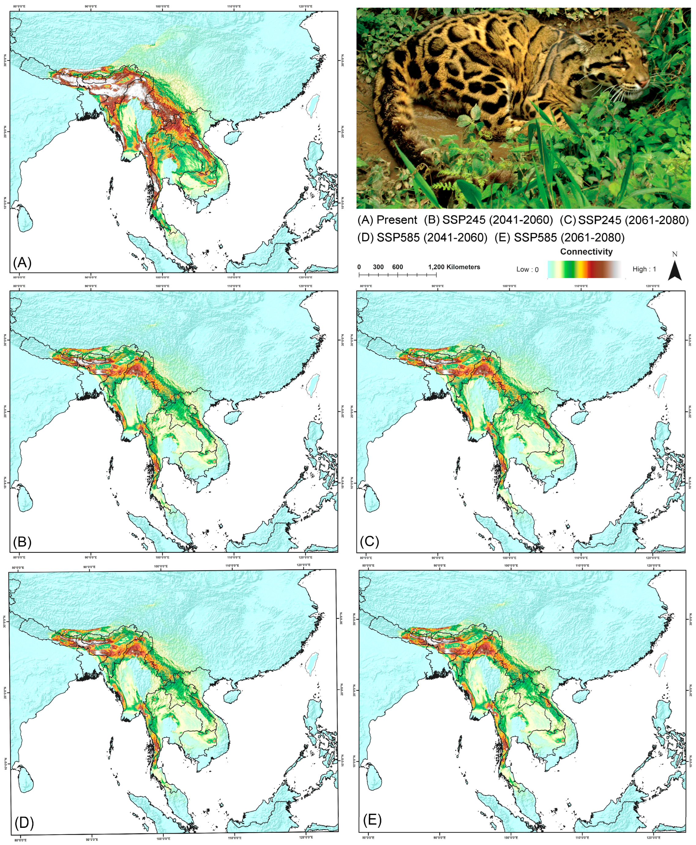 Biology 13 00902 g005