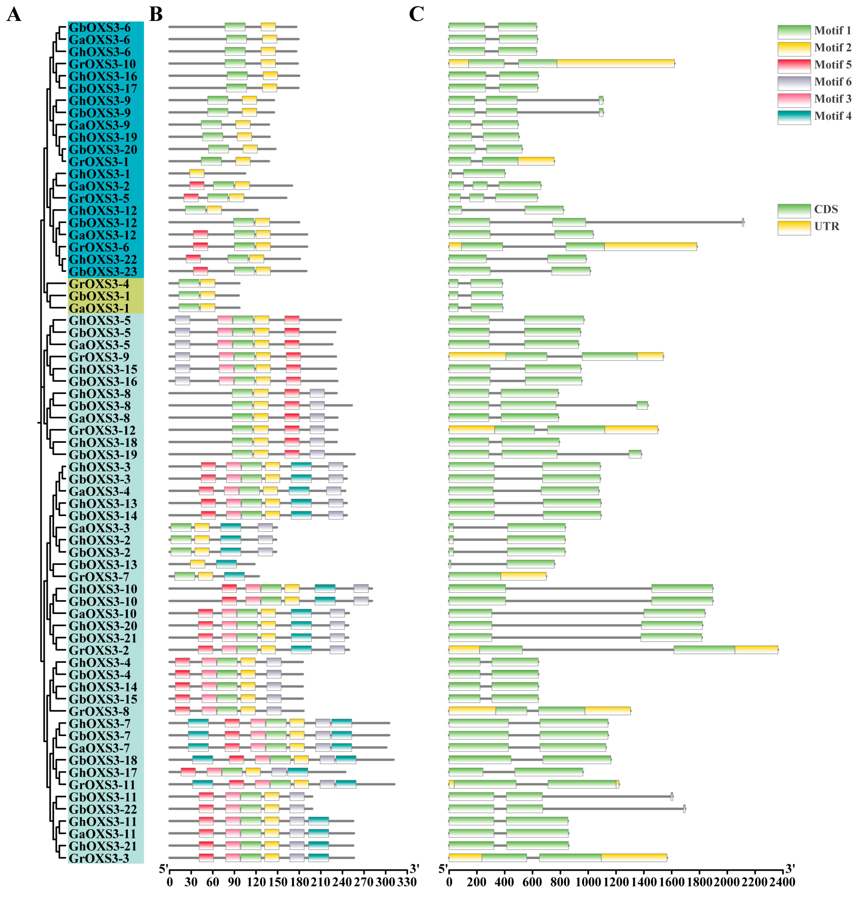 Biology 13 00903 g002