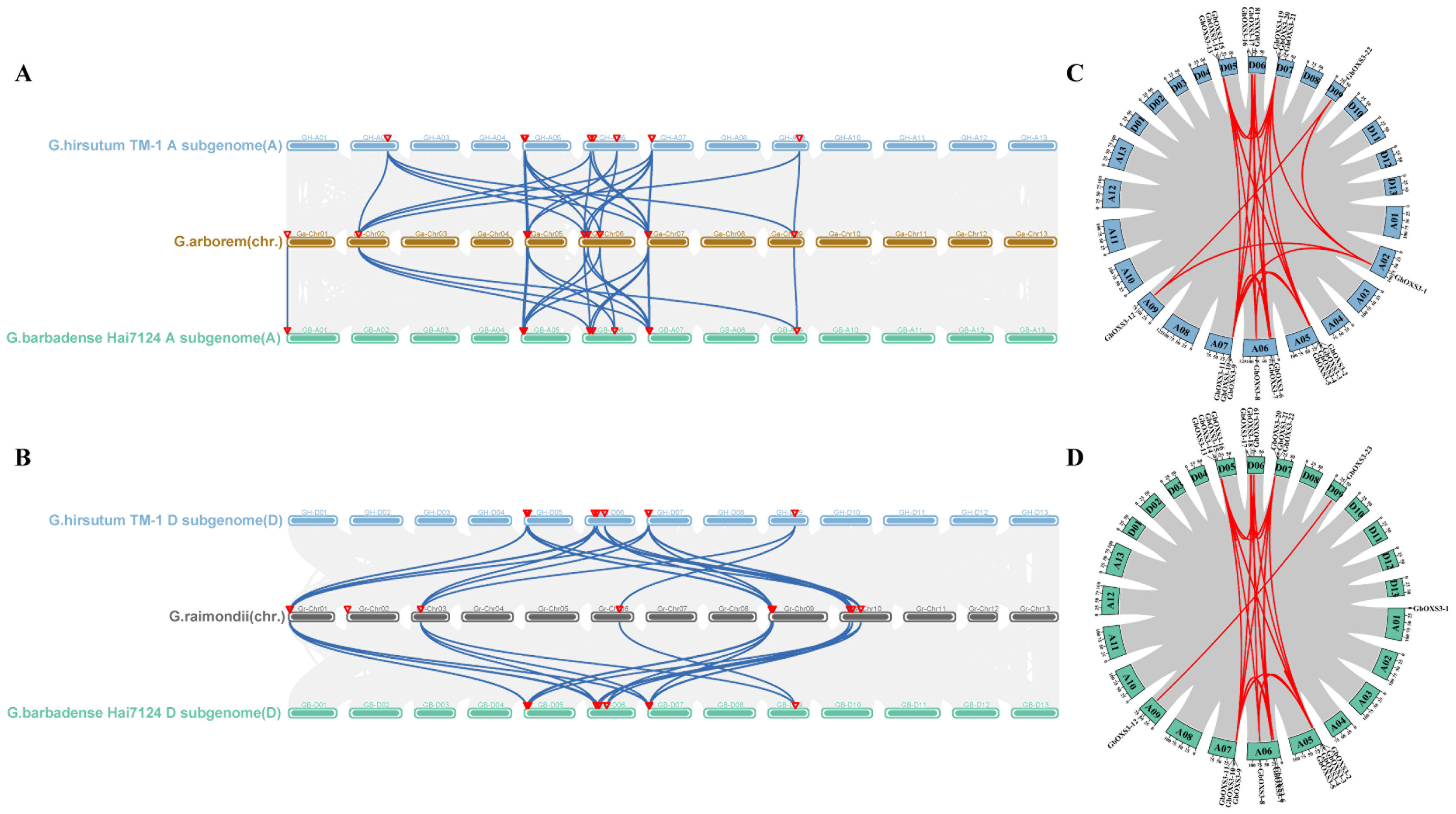 Biology 13 00903 g004