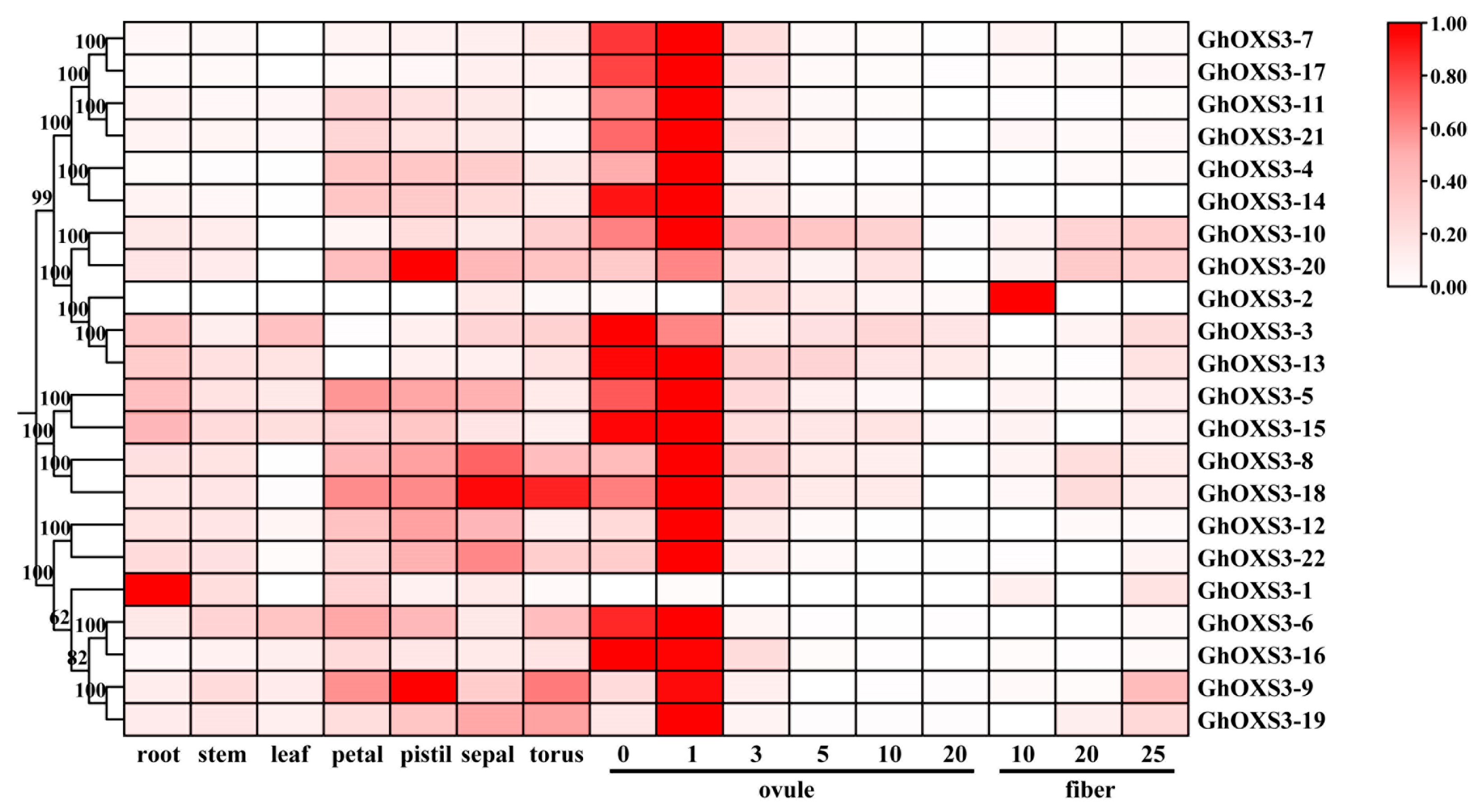 Biology 13 00903 g006