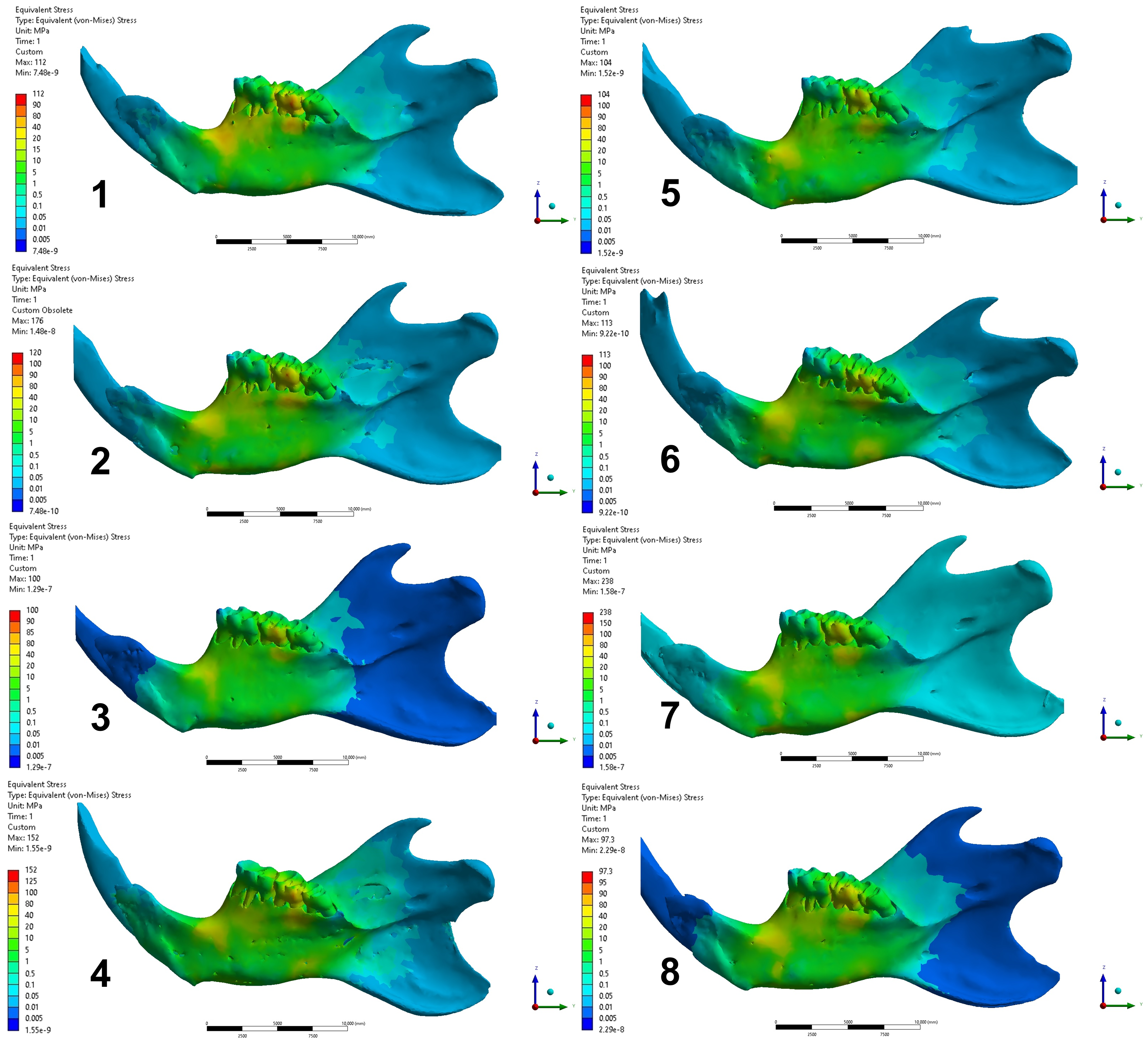 Biology 13 00906 g006