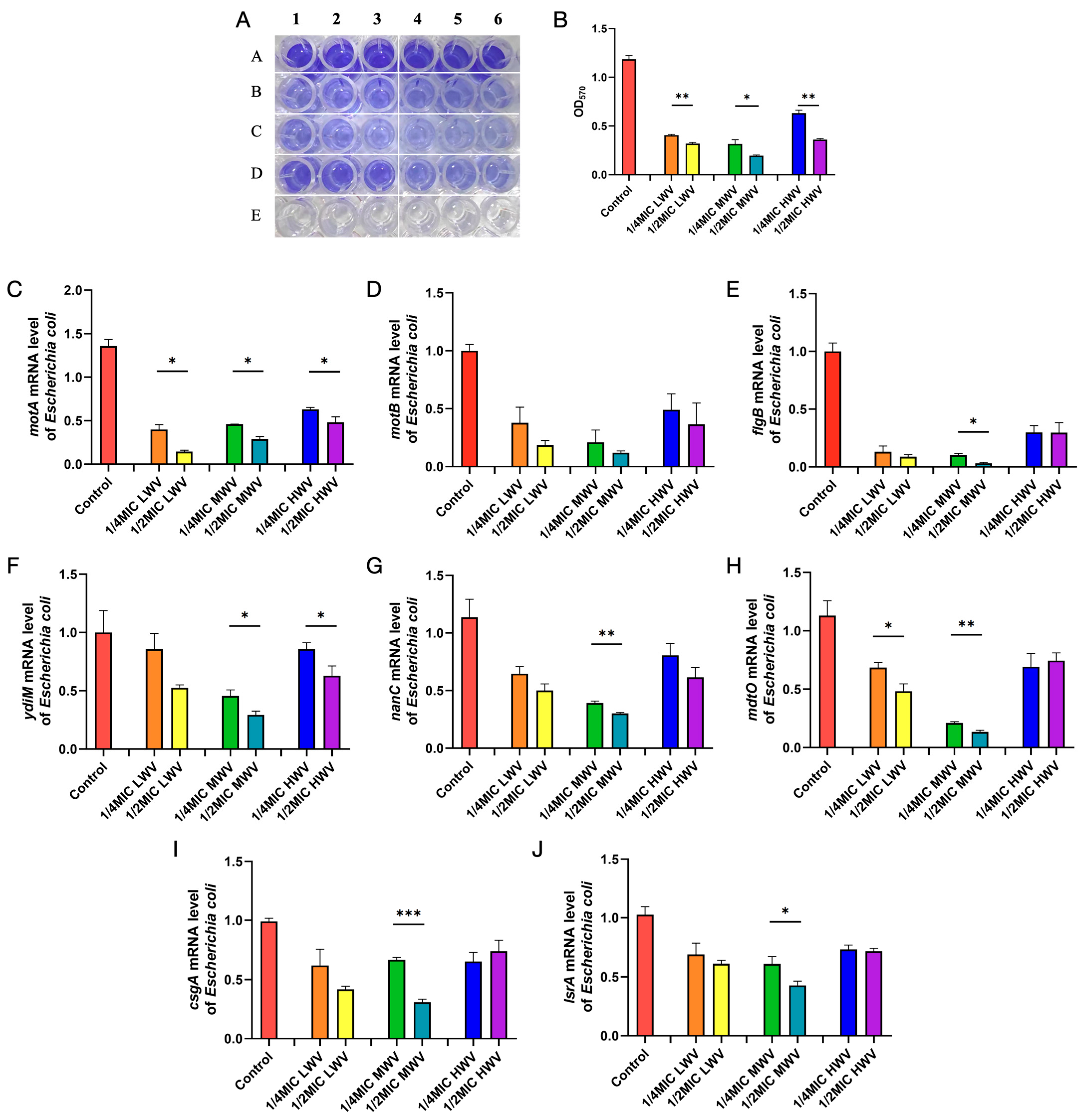 Biology 13 00912 g003