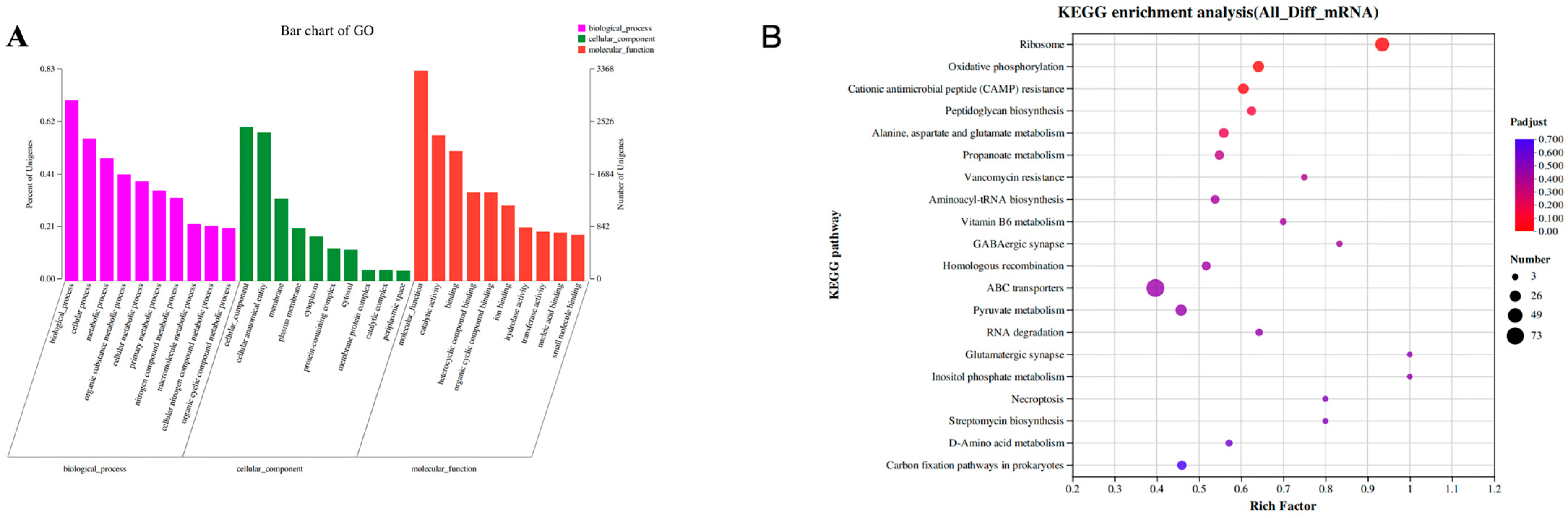 Biology 13 00912 g006