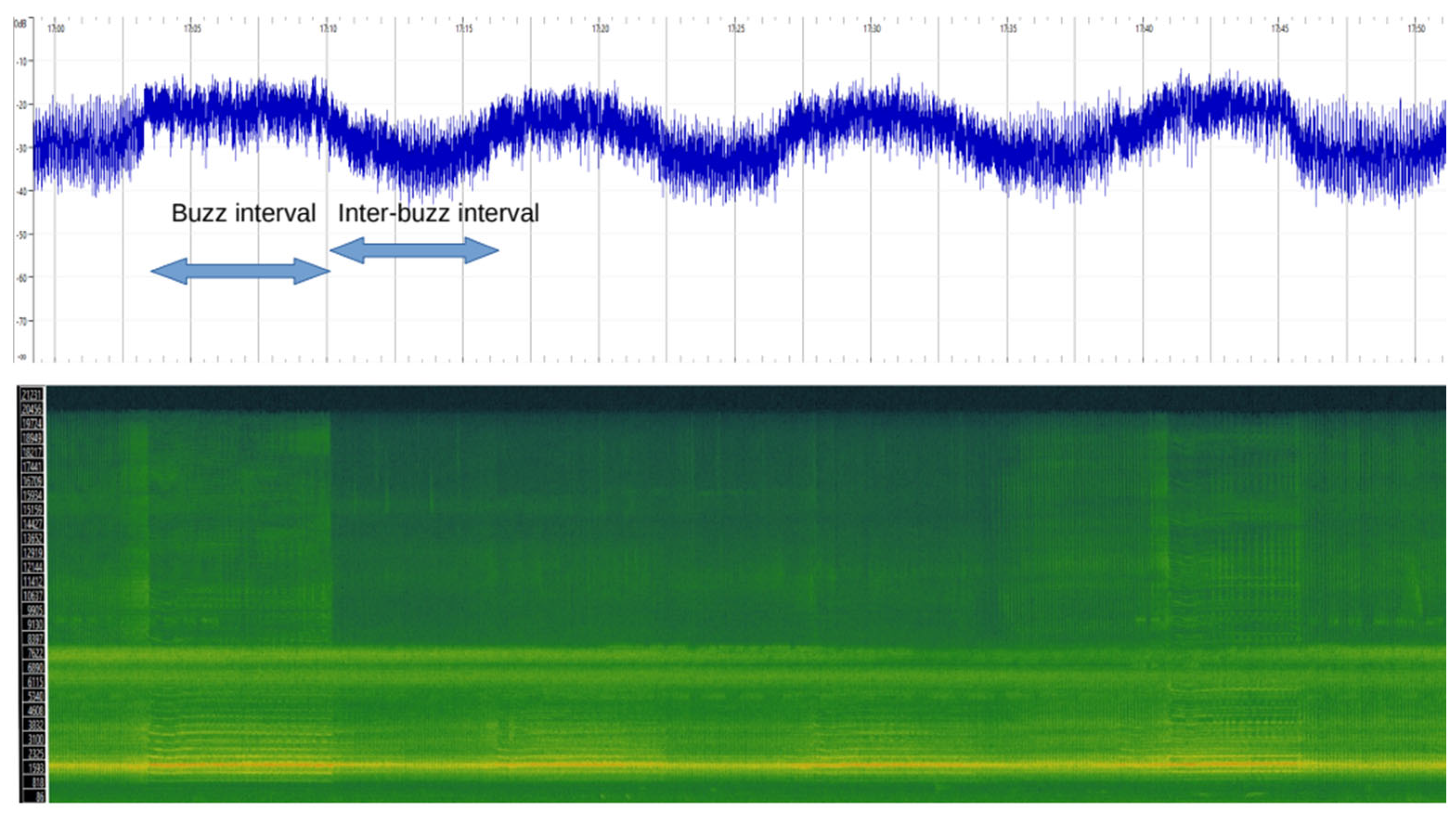 Biology 13 00913 g001