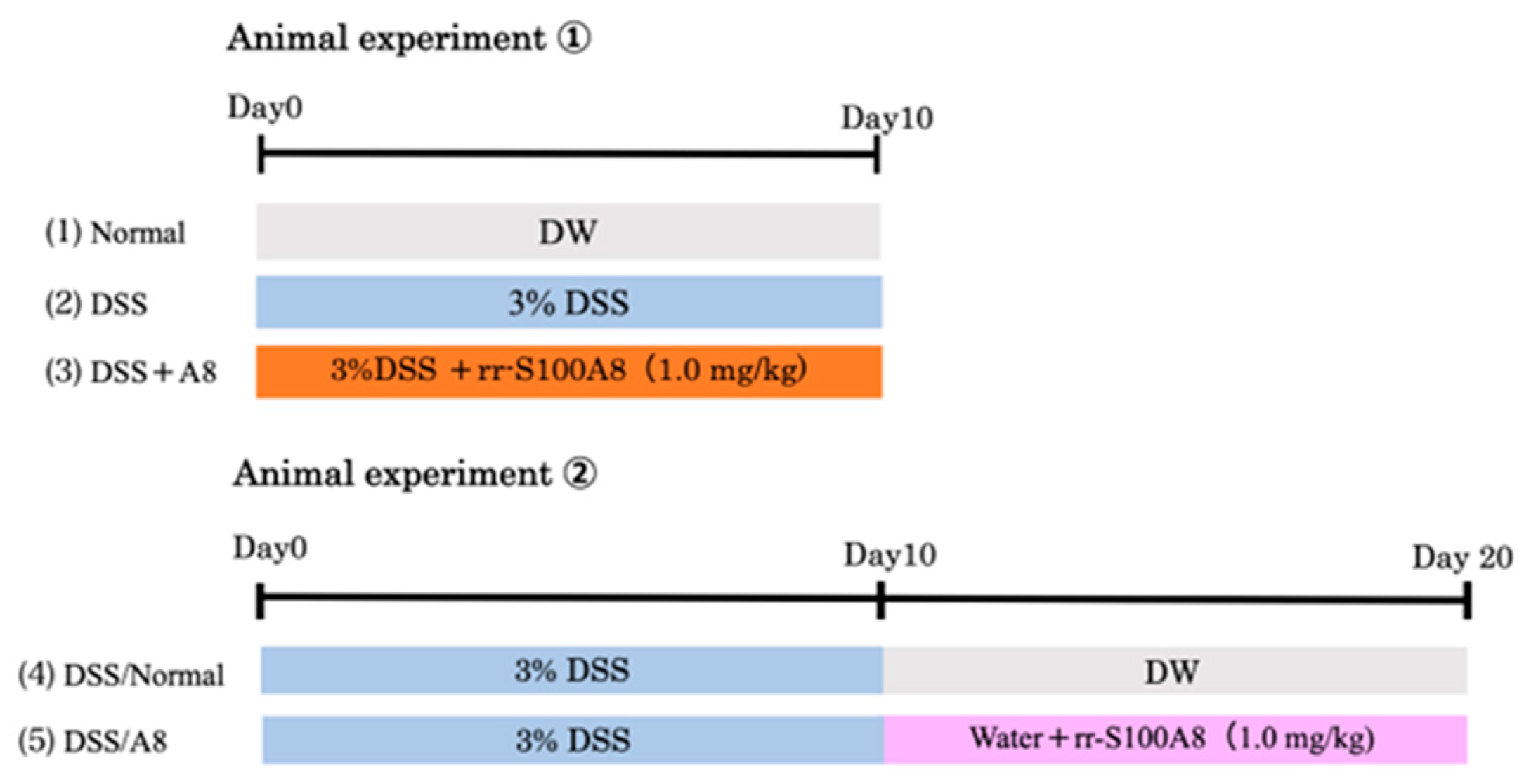 Biology 13 00916 g001