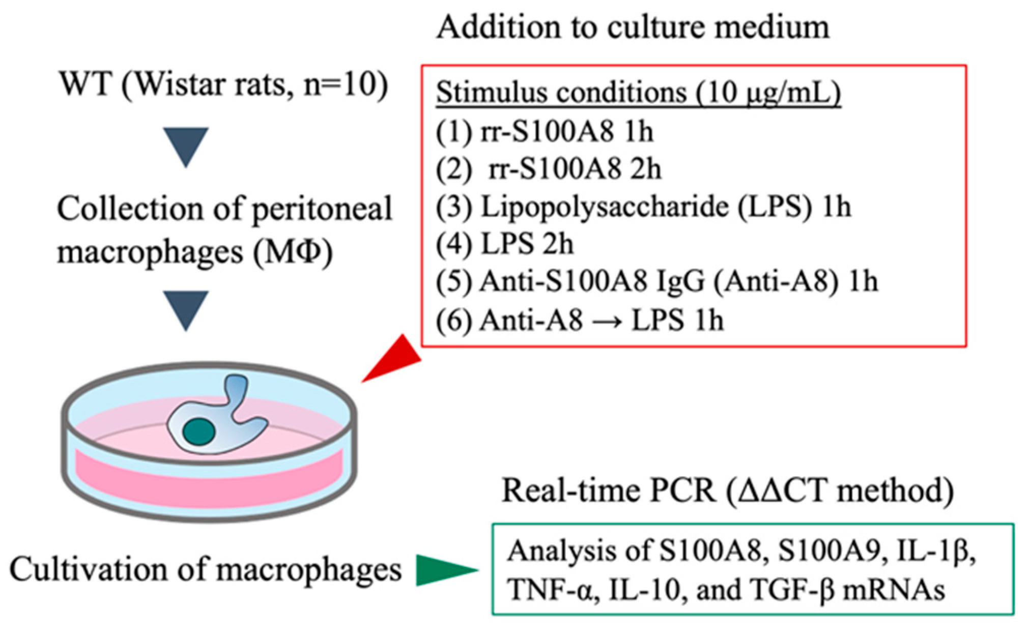Biology 13 00916 g002