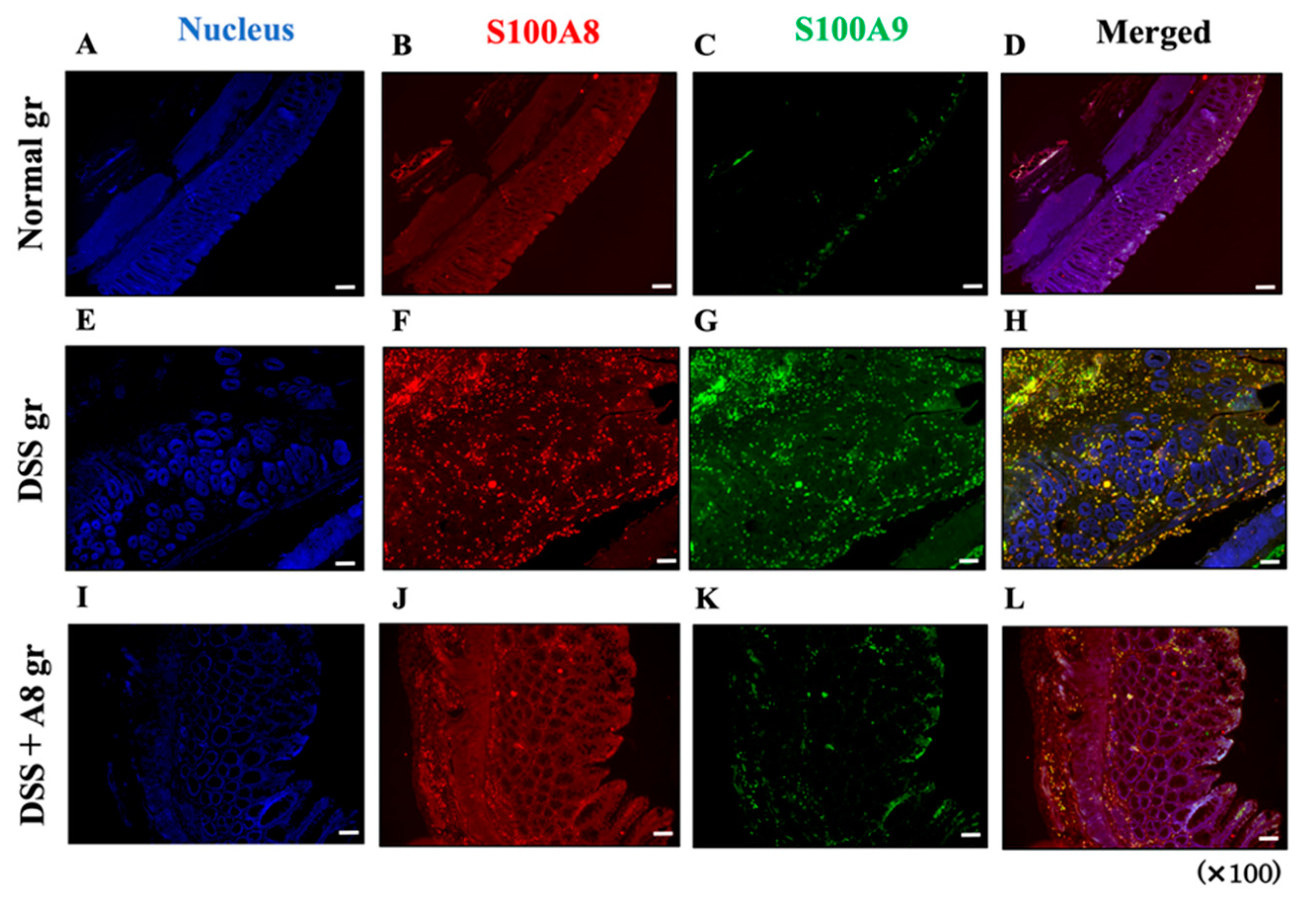 Biology 13 00916 g007