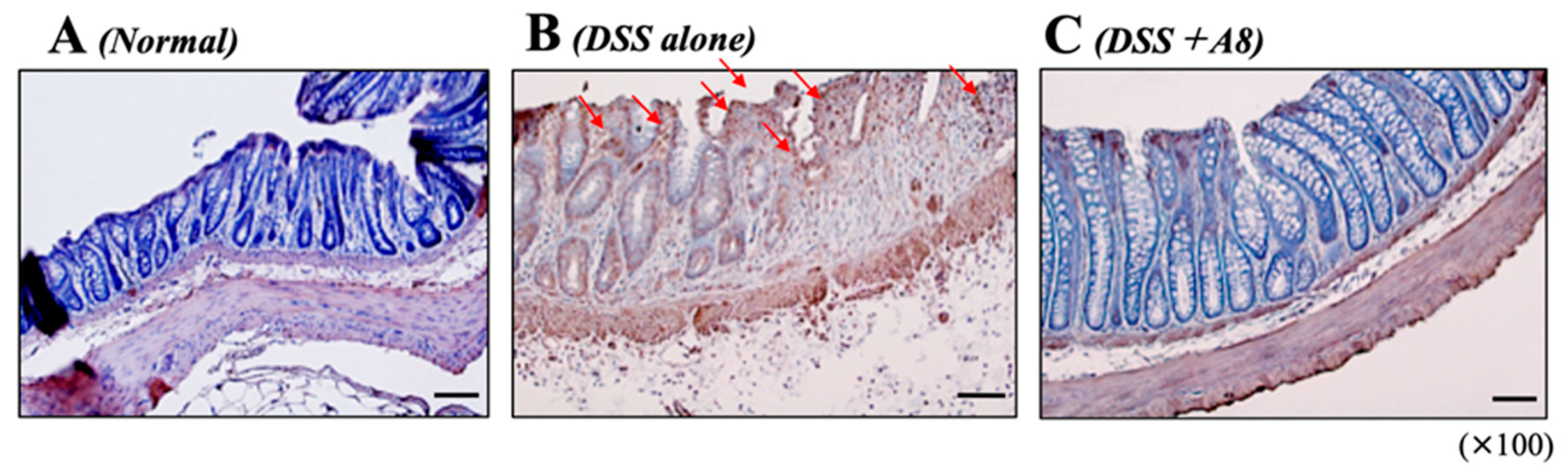 Biology 13 00916 g008