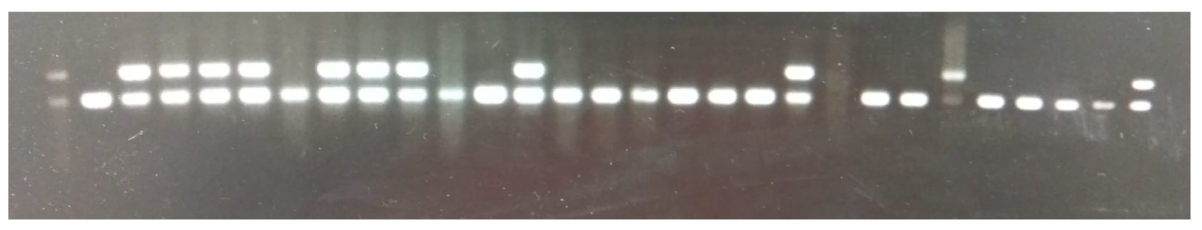 Biology 13 00918 g001 Biology 13 00918 g001