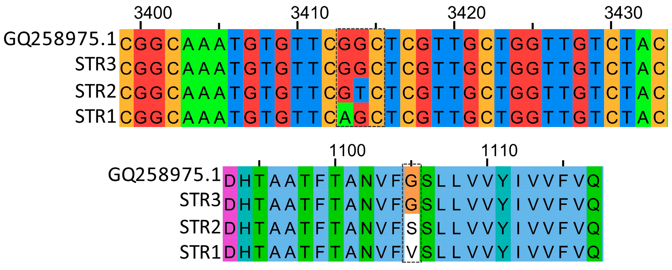 Biology 13 00919 g001