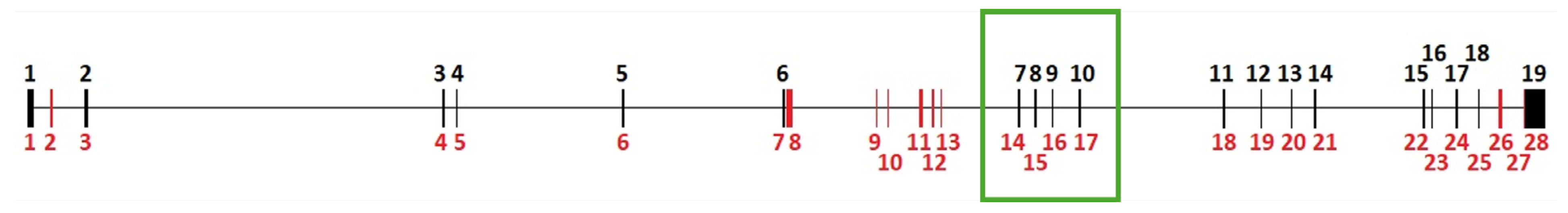 Biology 13 00920 g002 Biology 13 00920 g002