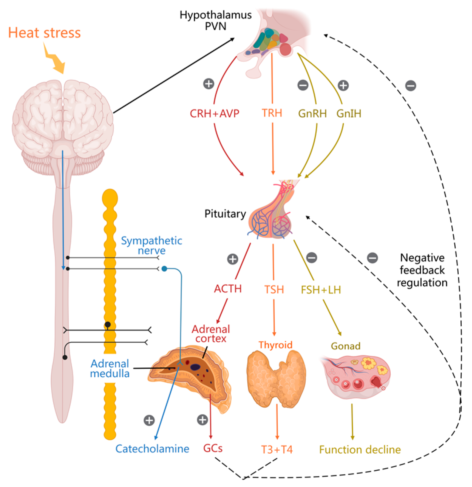 Biology 13 00926 g001
