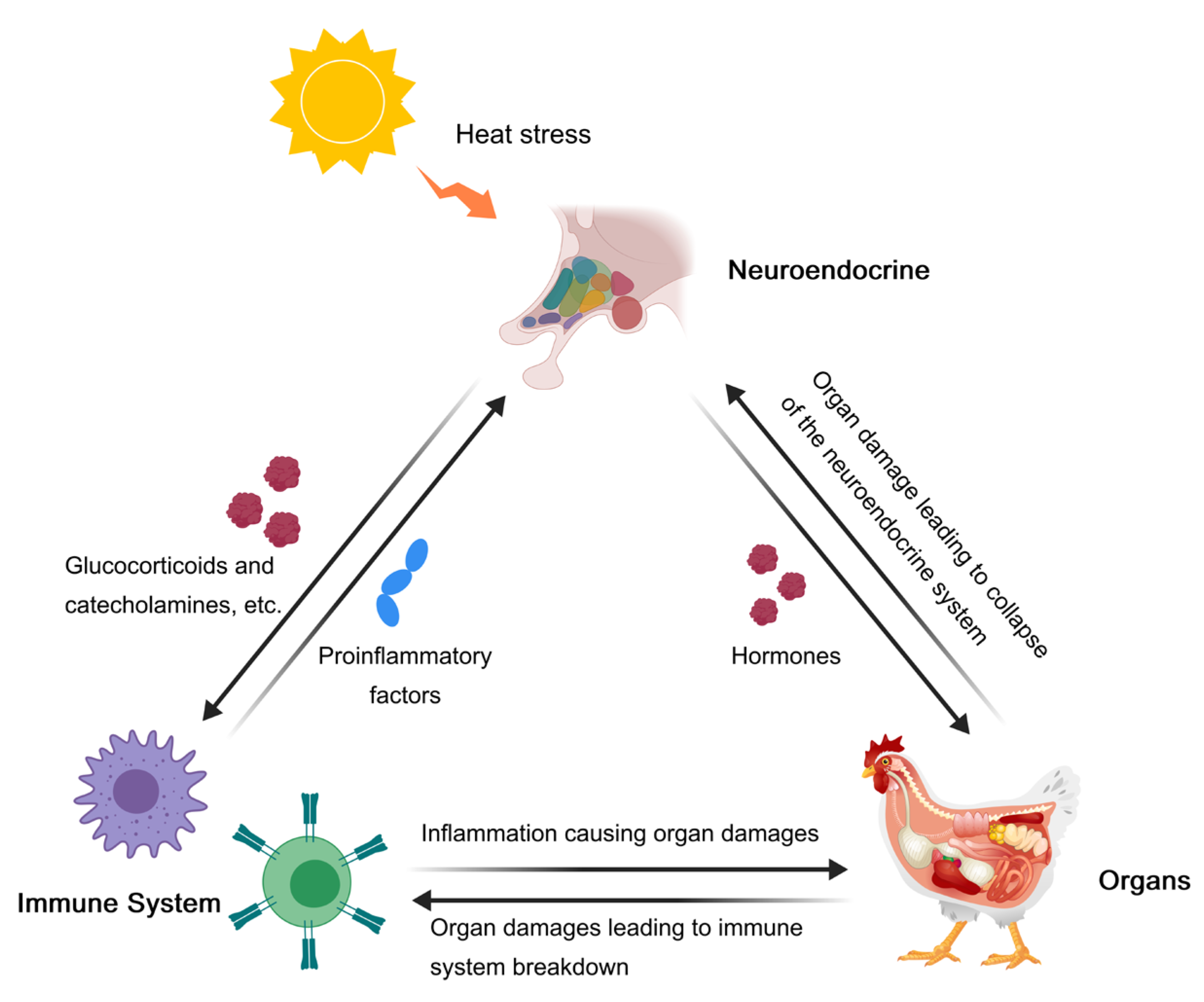 Biology 13 00926 g005