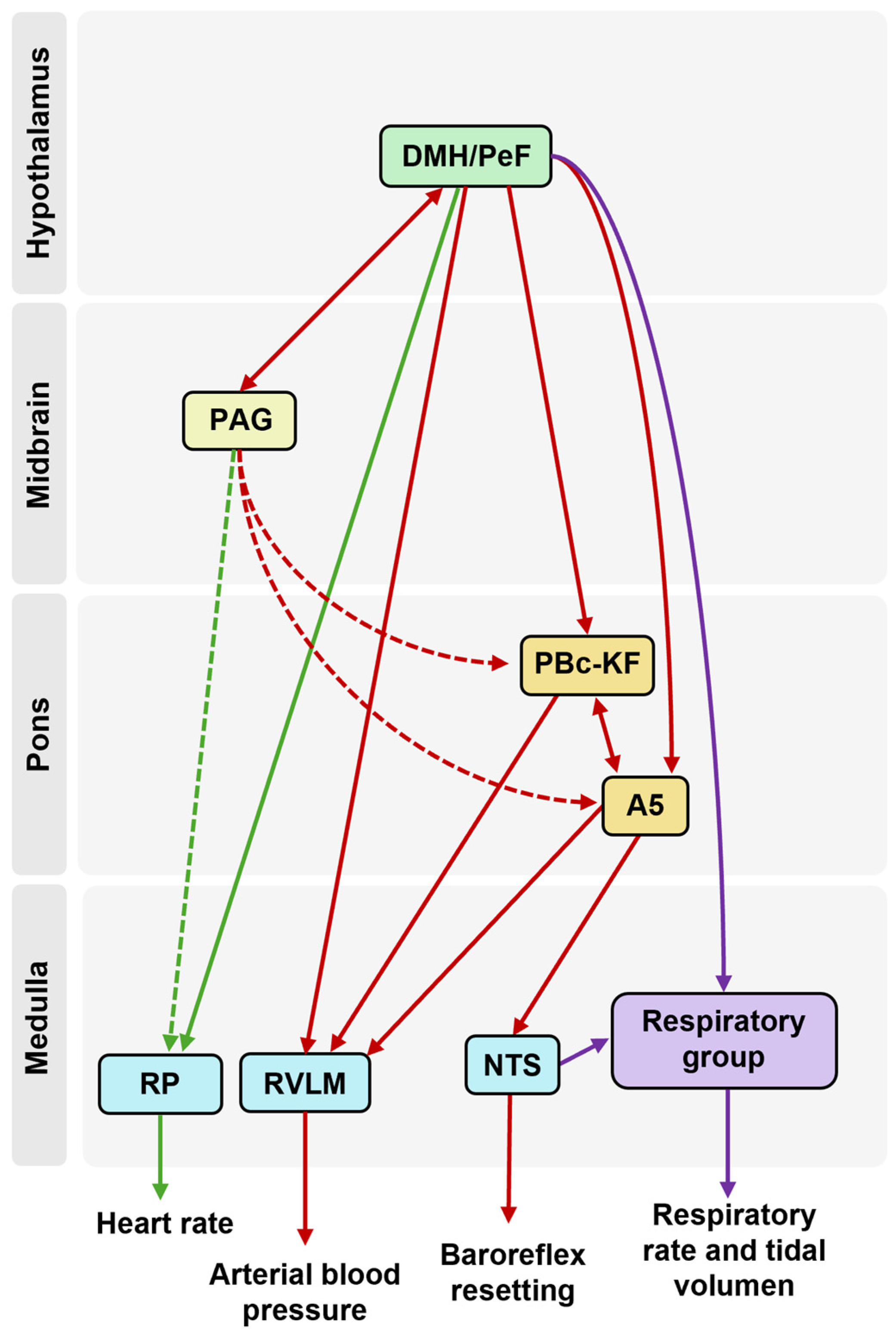 Biology 13 00933 g002 Biology 13 00933 g002