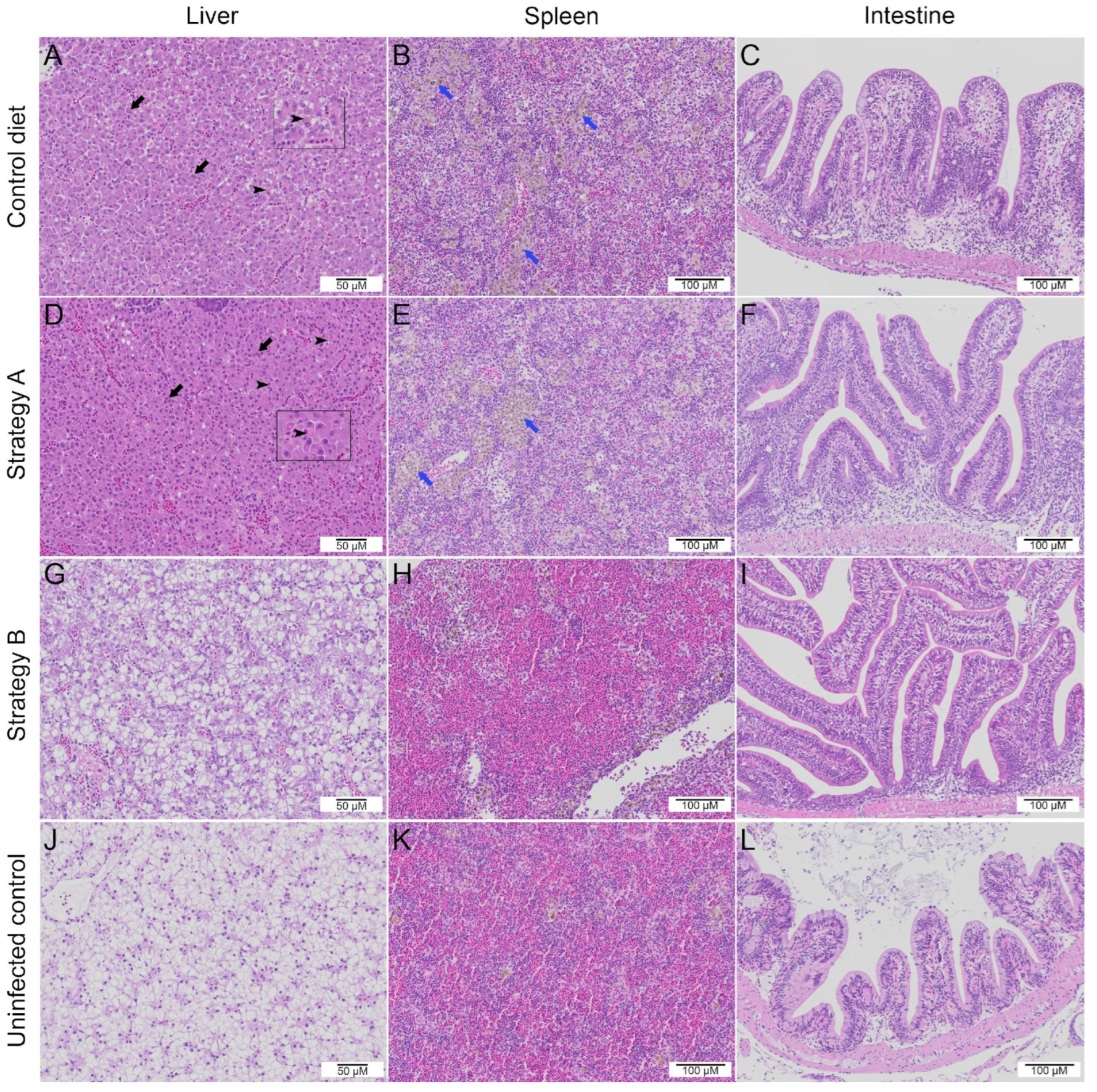 Biology 13 00938 g006