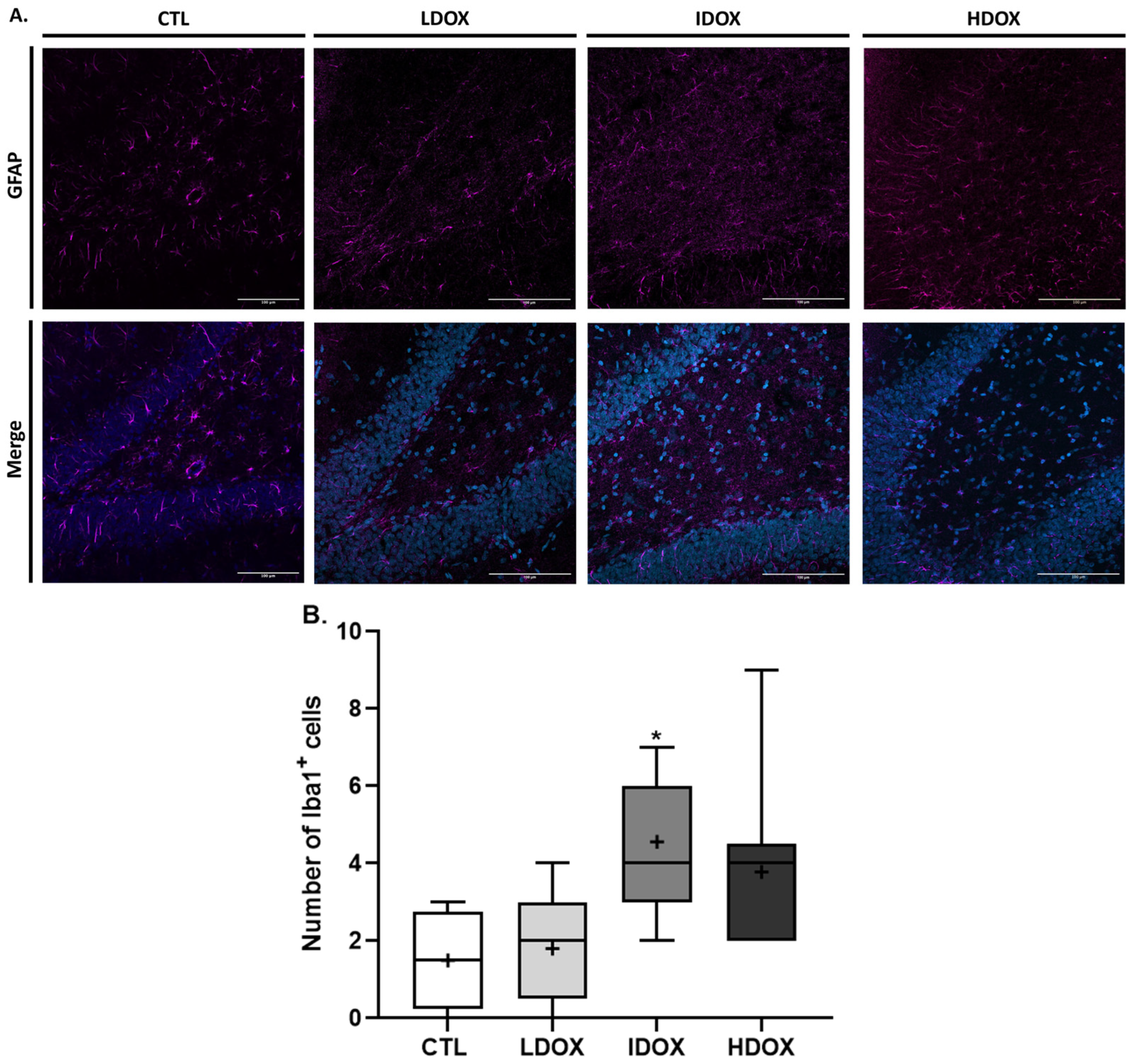 Biology 13 00939 g006