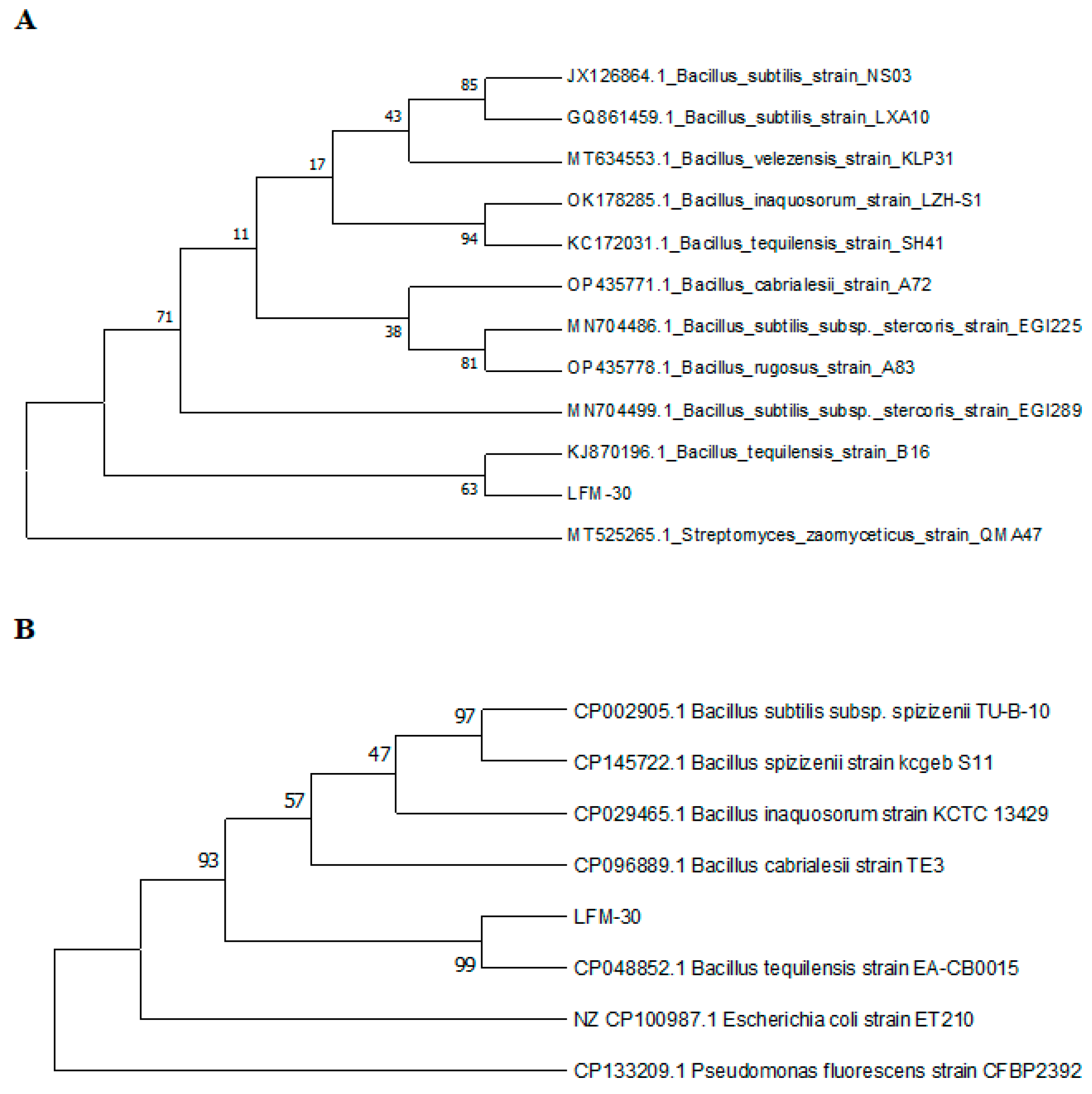 Biology 13 00940 g007