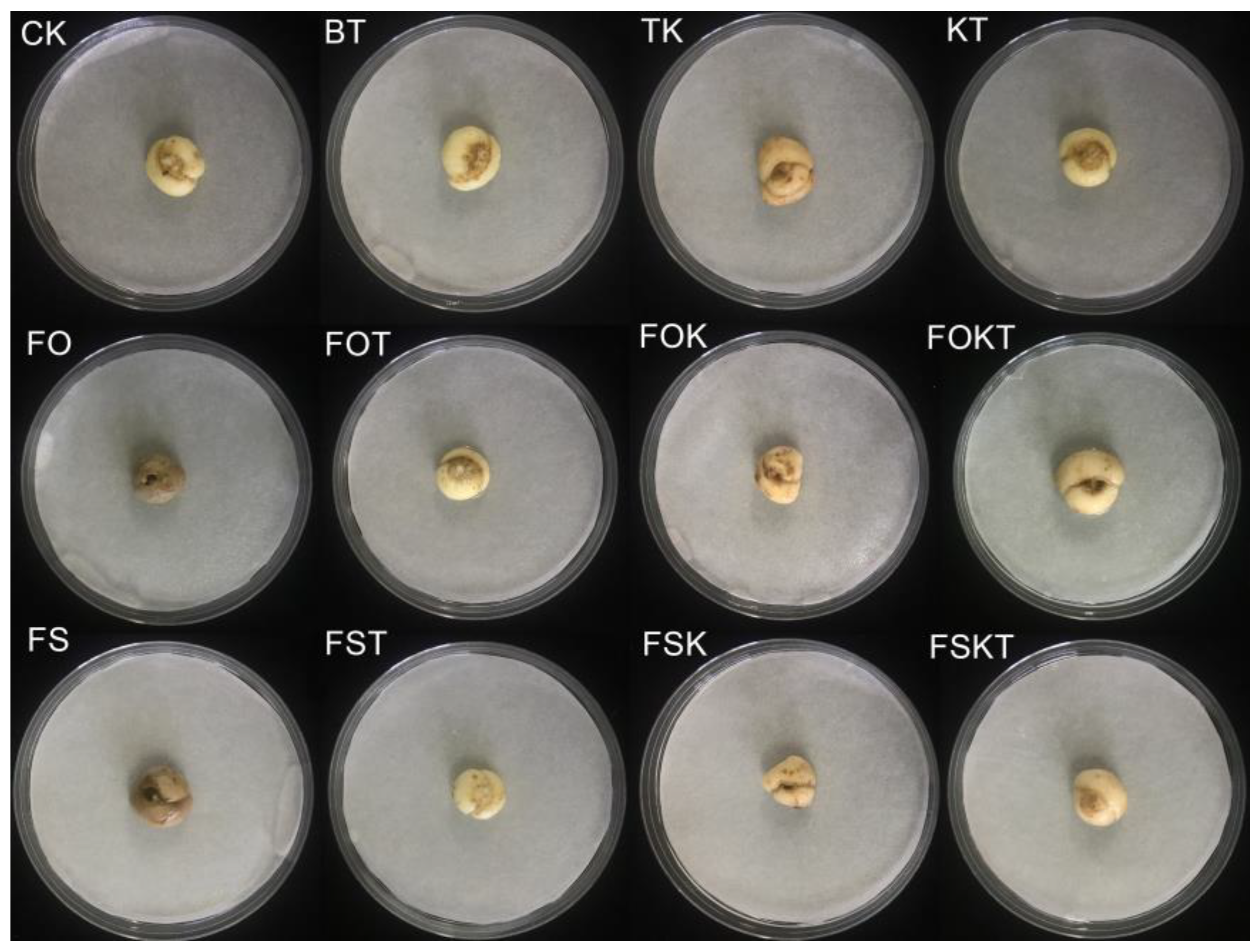Biology 13 00940 g009