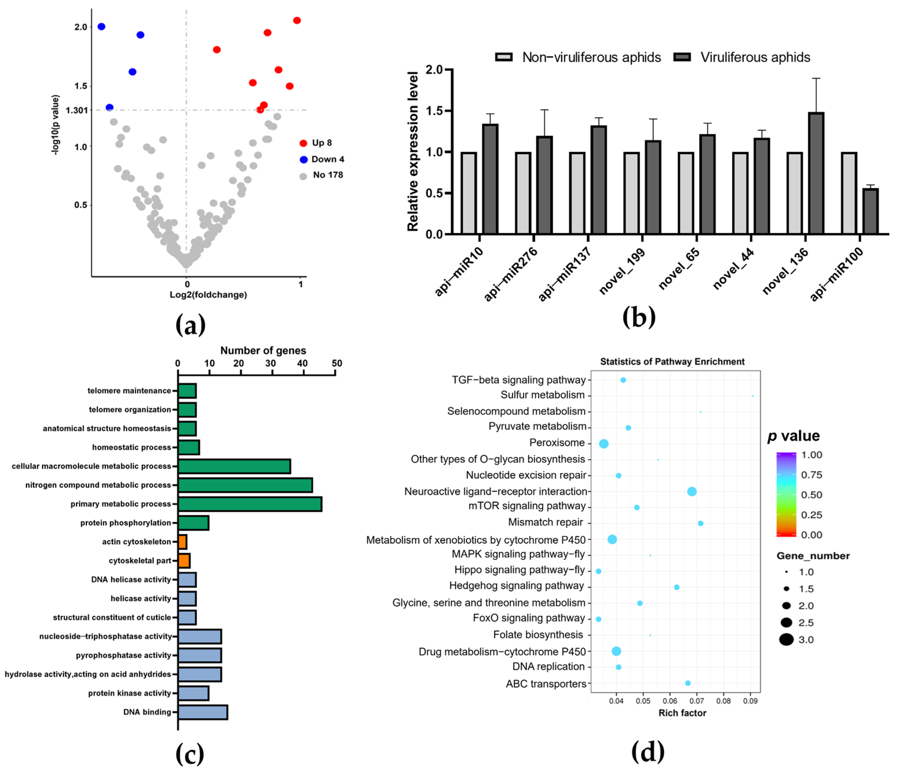 Biology 13 00941 g005