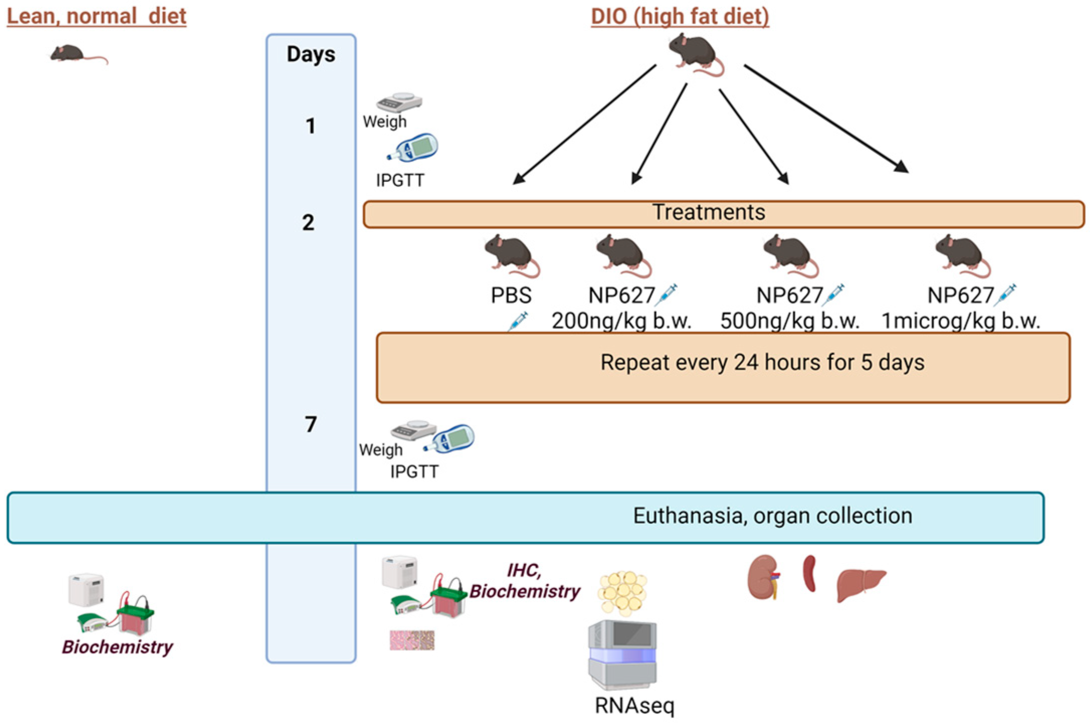 Biology 13 00943 g001 Biology 13 00943 g001