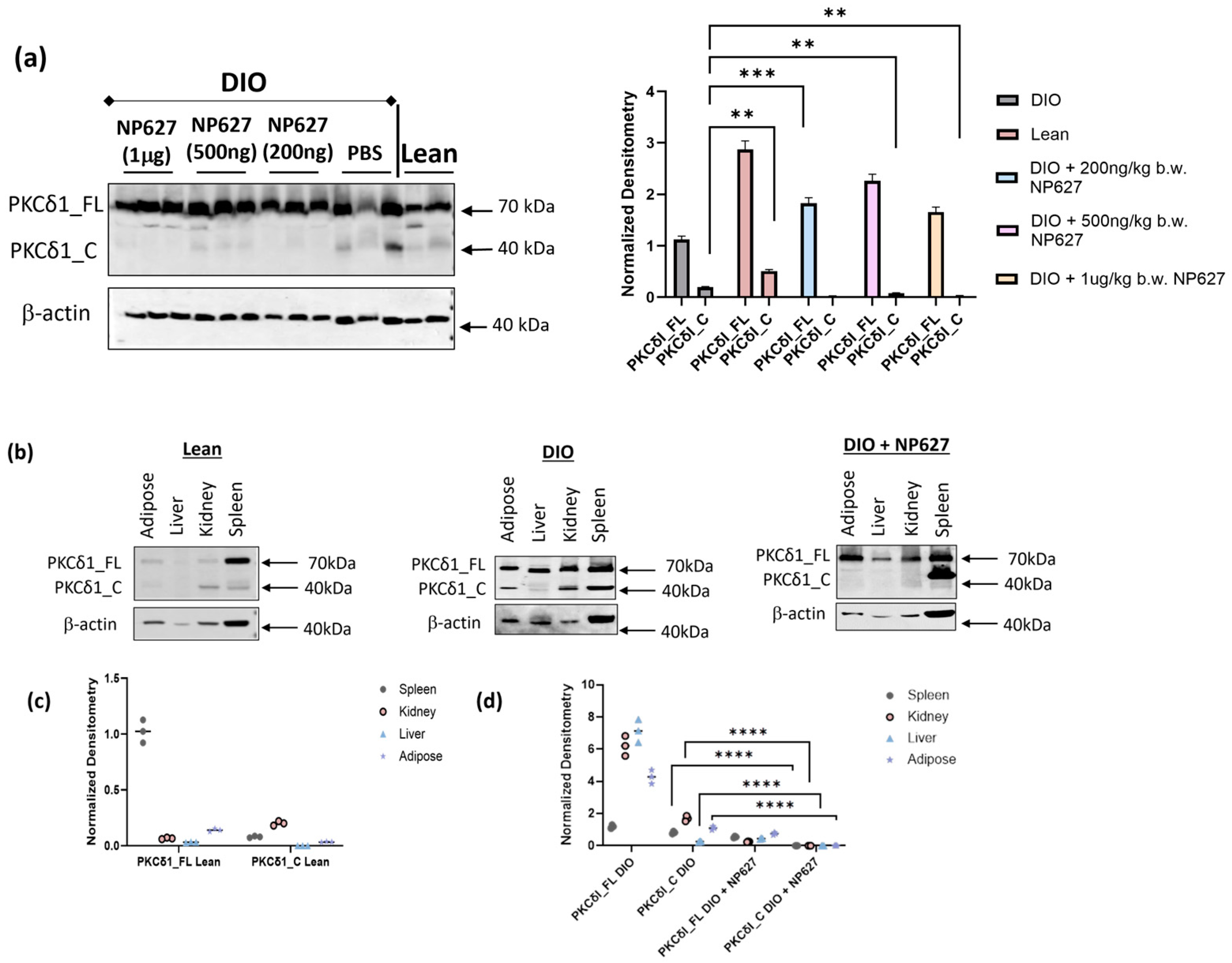 Biology 13 00943 g004 Biology 13 00943 g004