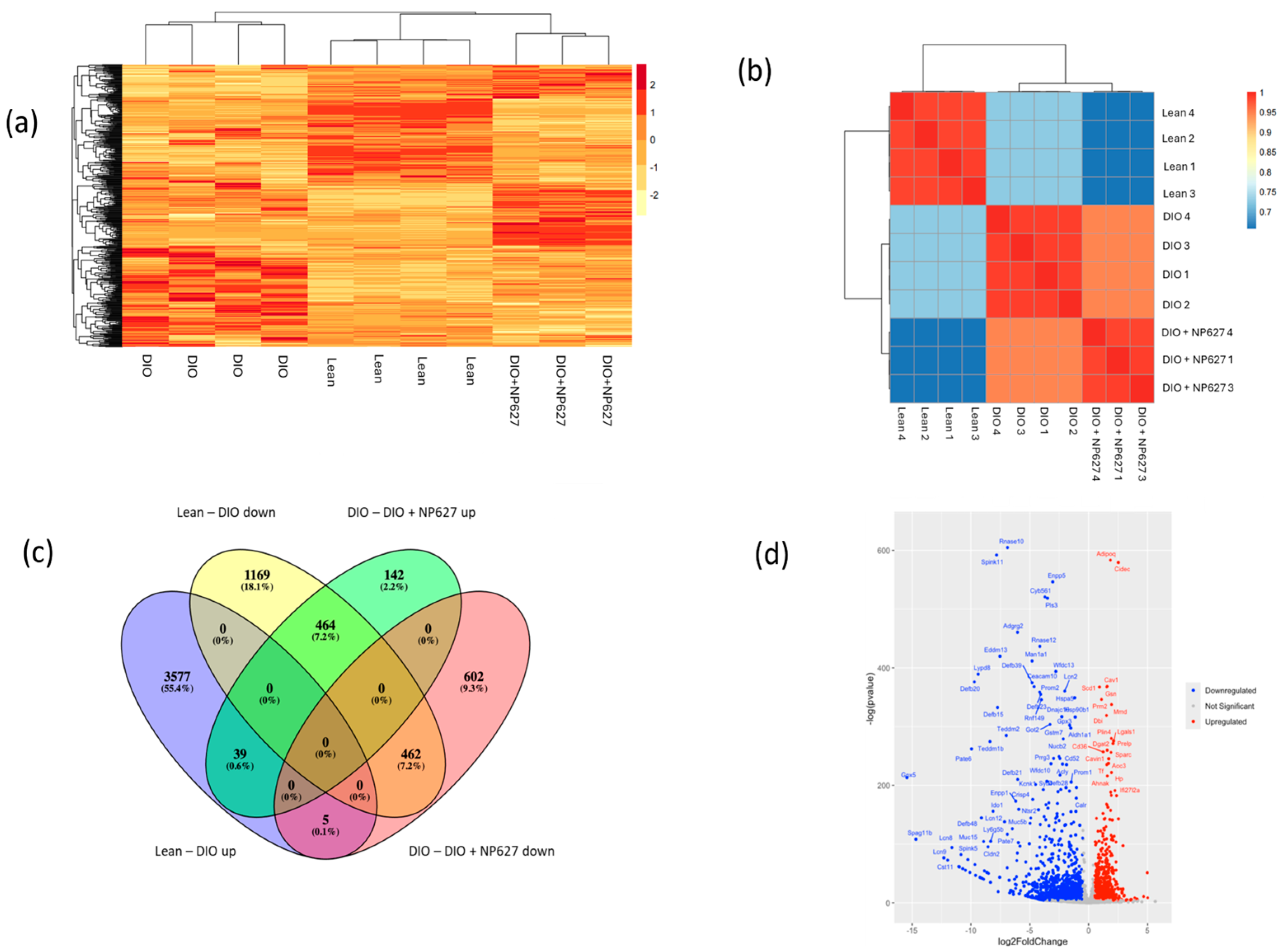 Biology 13 00943 g006 Biology 13 00943 g006